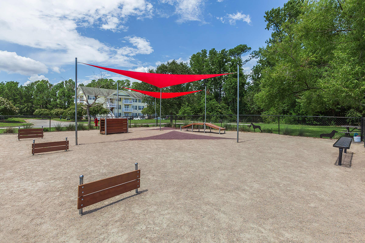 Tesla park новосибирск