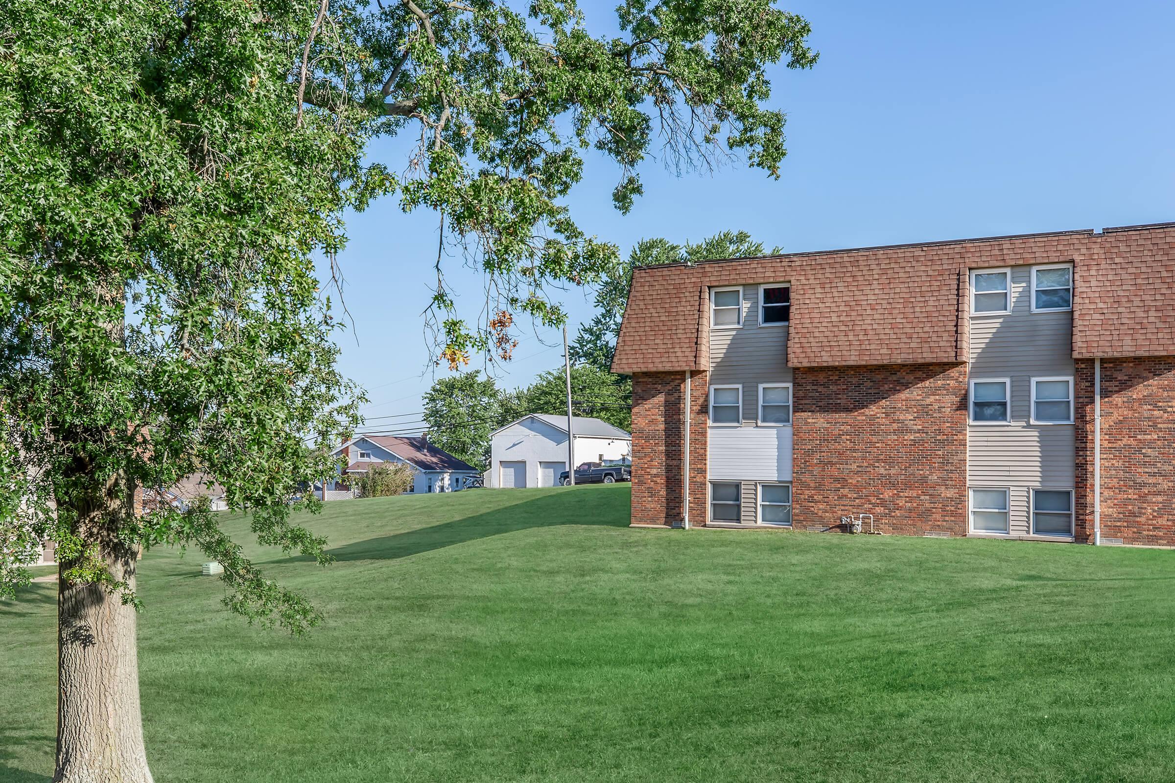 a tree in front of a brick building