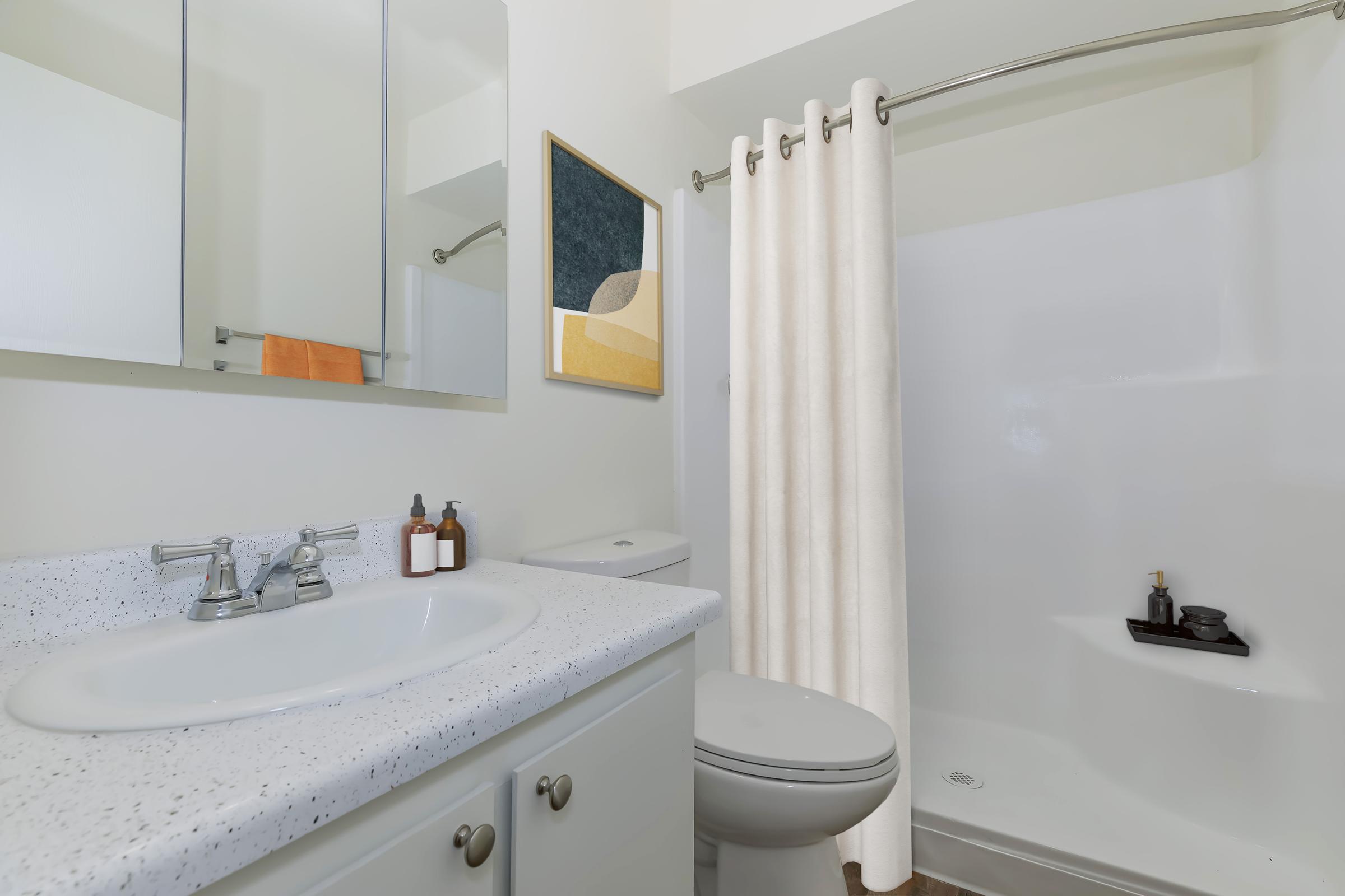 Modern bathroom featuring a white shower curtain, a sleek sink with a granite countertop, a toilet, and a mirror. The walls are light-colored, and a piece of abstract art hangs above the sink. Several toiletries are arranged neatly on the counter, adding a touch of decor to the space.