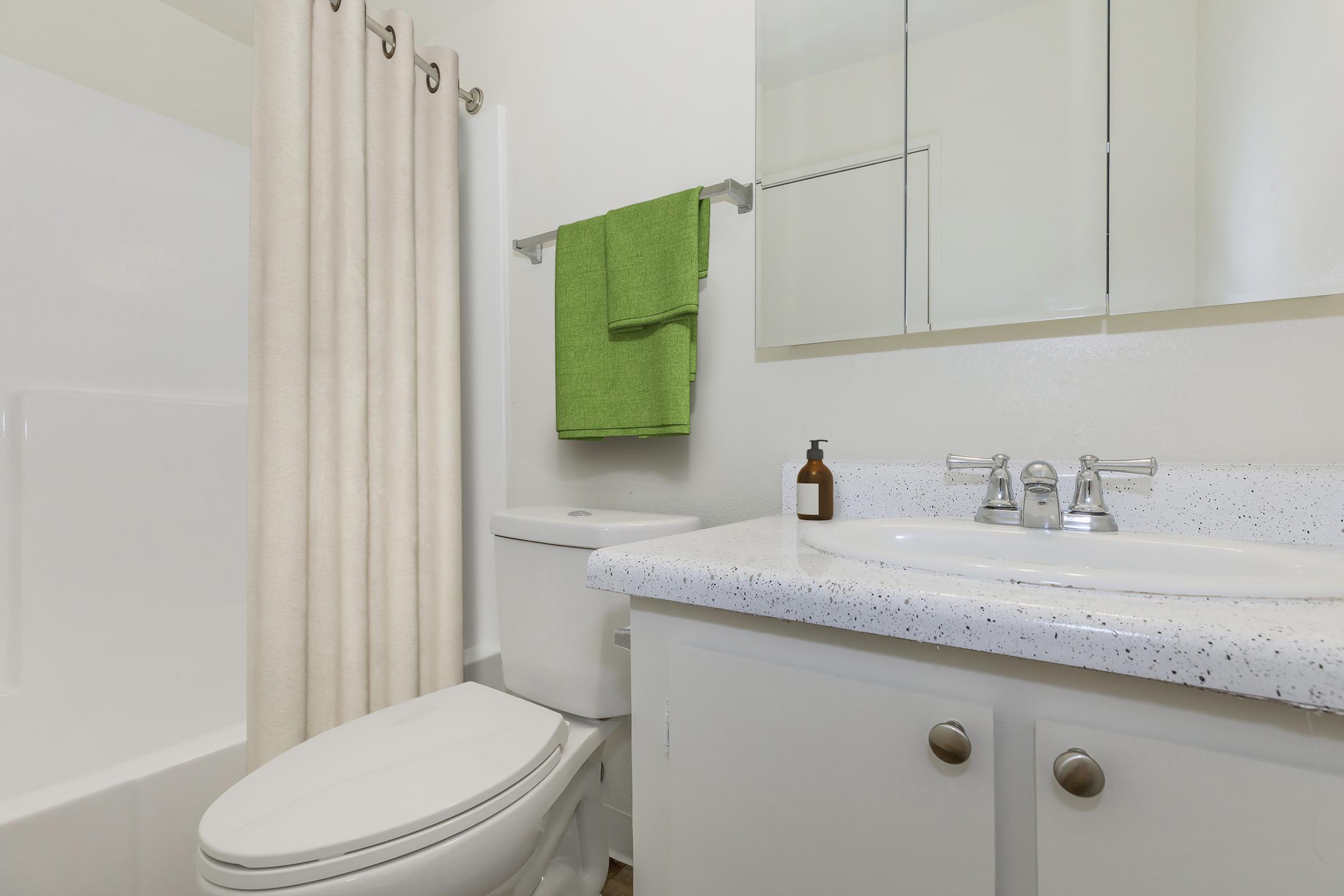 A clean and modern bathroom featuring a white bathtub with a shower curtain, a toilet, and a double sink vanity with a granite-like countertop. On the wall, there is a green towel hanging next to a mirror. A small dark bottle is placed on the counter, contributing to the tidy appearance.
