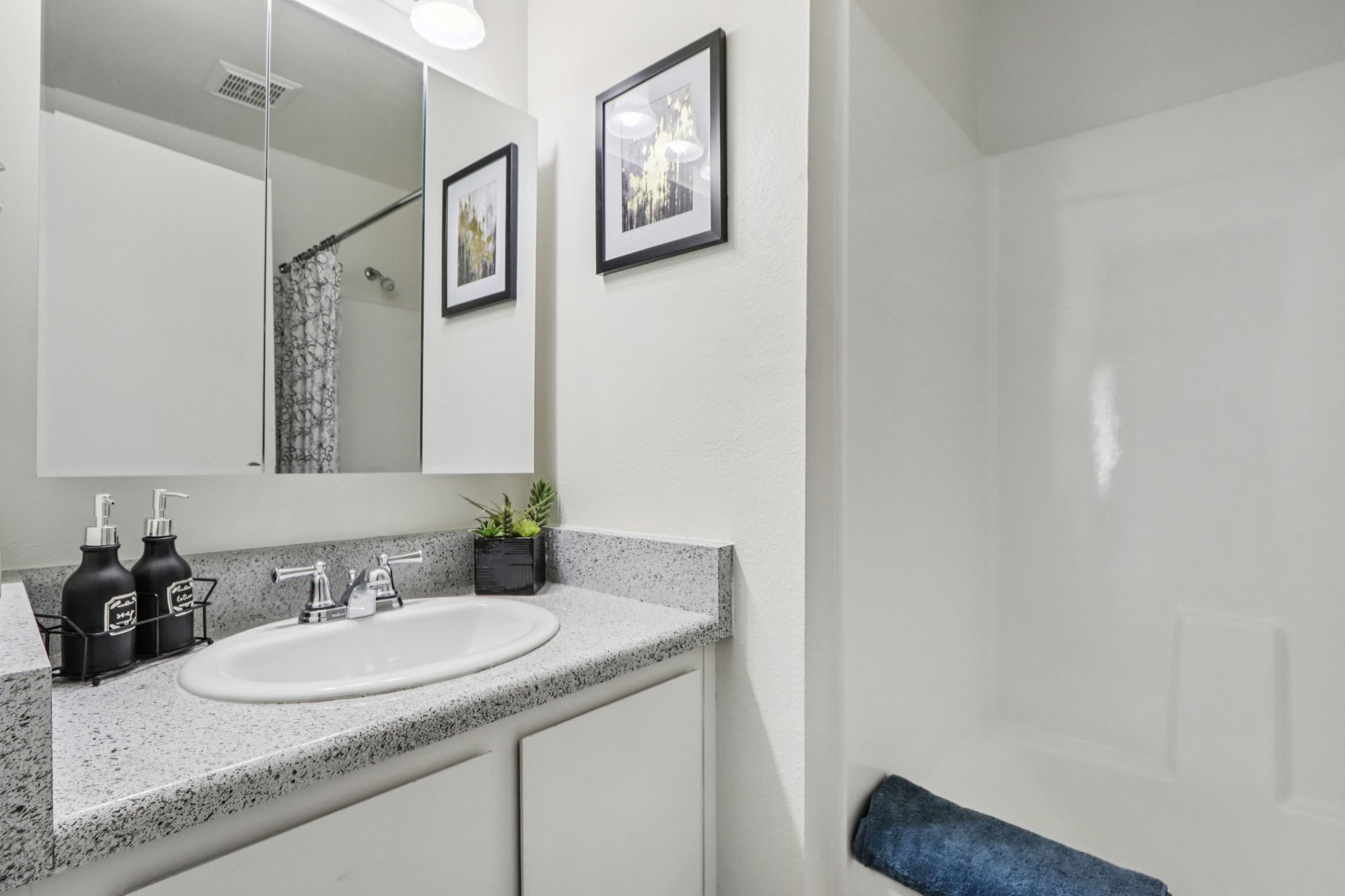 A modern bathroom featuring a white sink with a granite countertop, two black soap dispensers, a small potted plant, and framed artwork on the wall. A shower area is visible on the right, and a blue towel is neatly placed on the tub edge. Bright lighting enhances the clean, contemporary look.