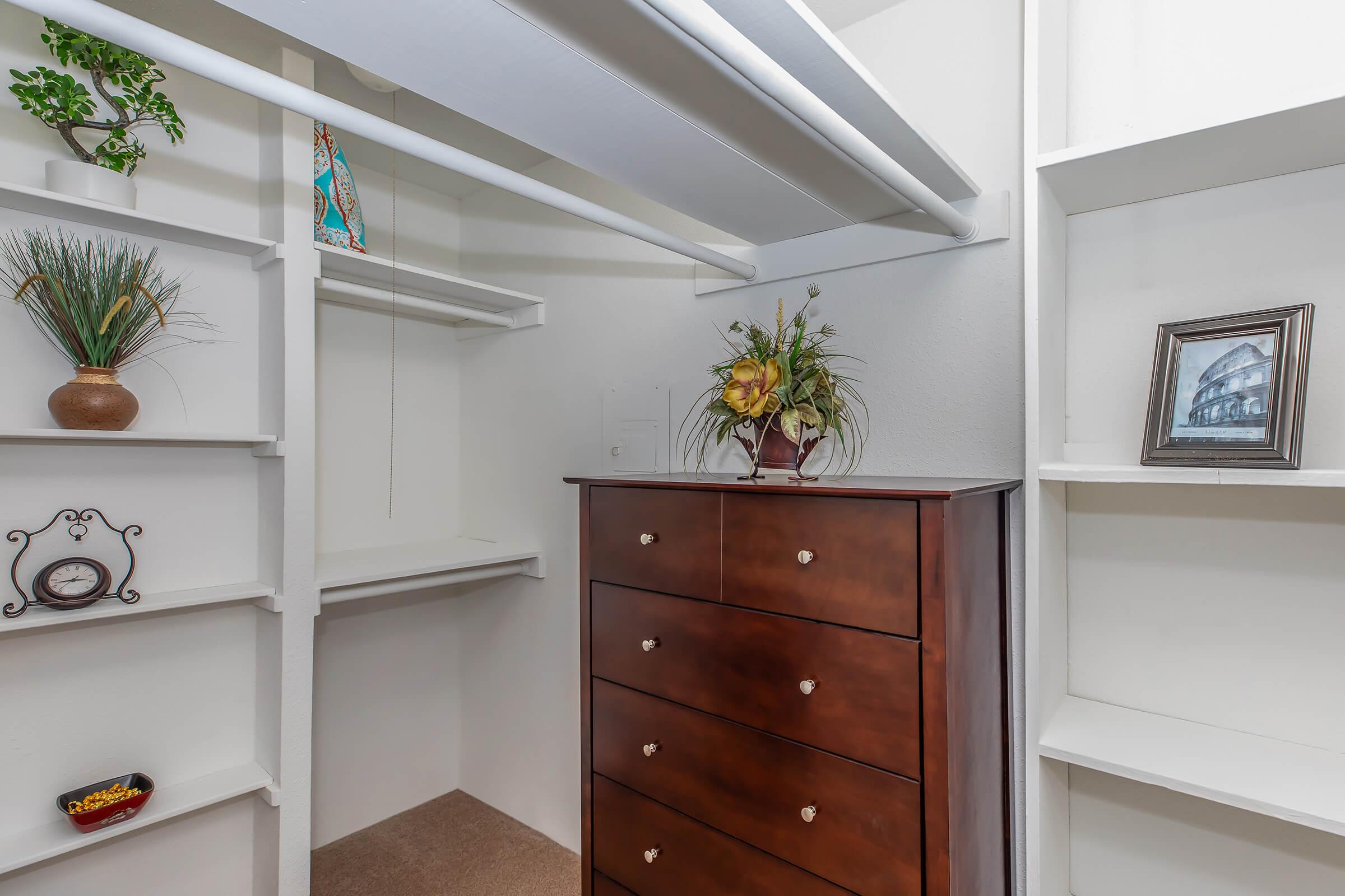 A well-organized closet featuring a wooden dresser with five drawers, a decorative flower arrangement on top, and several shelves. The shelves include a small plant and artwork, while the closet has a light-colored wall and a carpeted floor. Natural light illuminates the space.