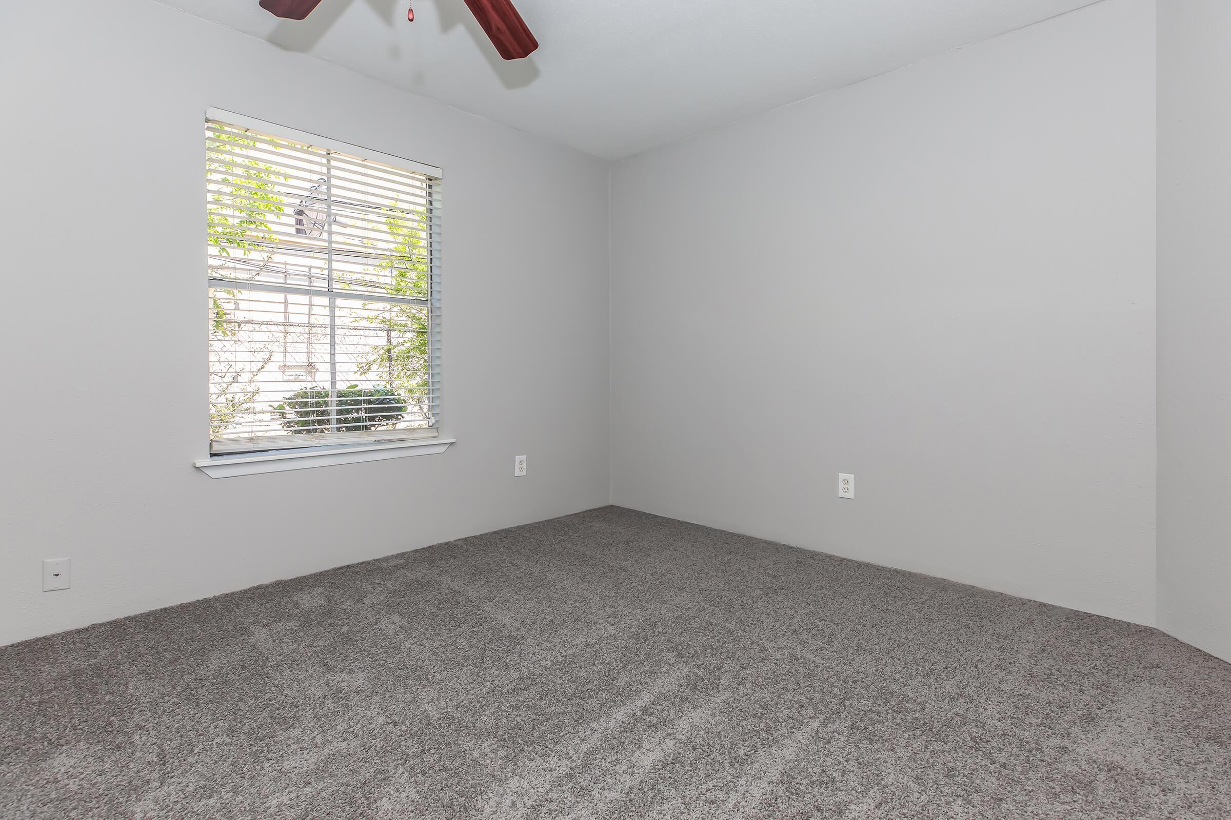 An empty room with light gray walls and carpet, featuring a window with blinds that lets in natural light. There are no furnishings or decorations, creating a spacious and minimalist feel. A ceiling fan is visible above, and the corner shows greenery outside the window.