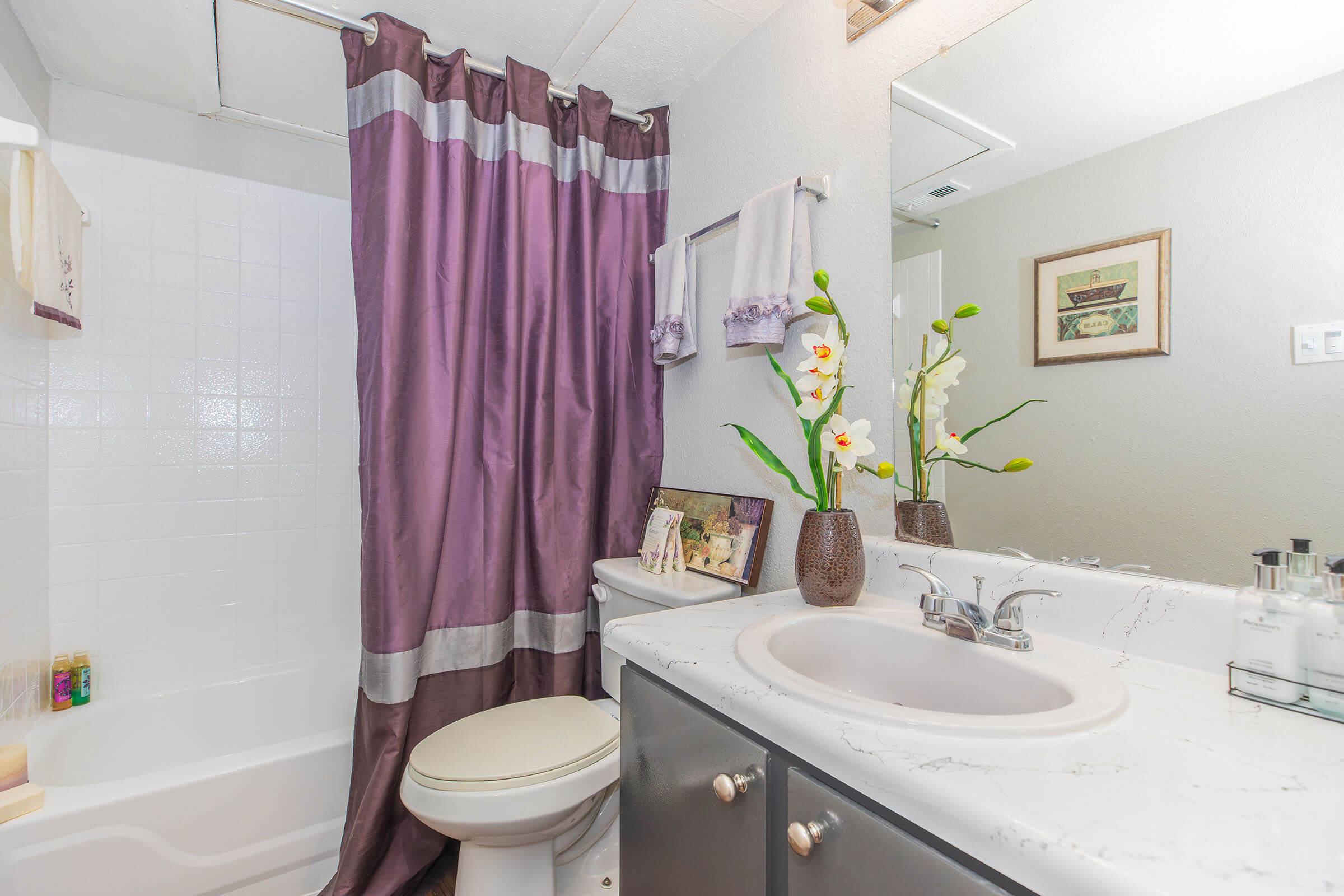 a room with a sink mirror and shower curtain