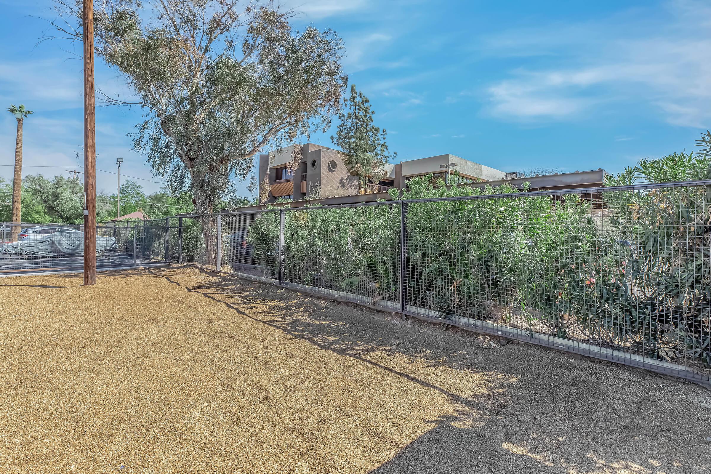 A fenced area featuring a gravel ground, surrounded by greenery and trees. In the background, there are buildings and a utility pole. The sky is clear blue, indicating a sunny day.