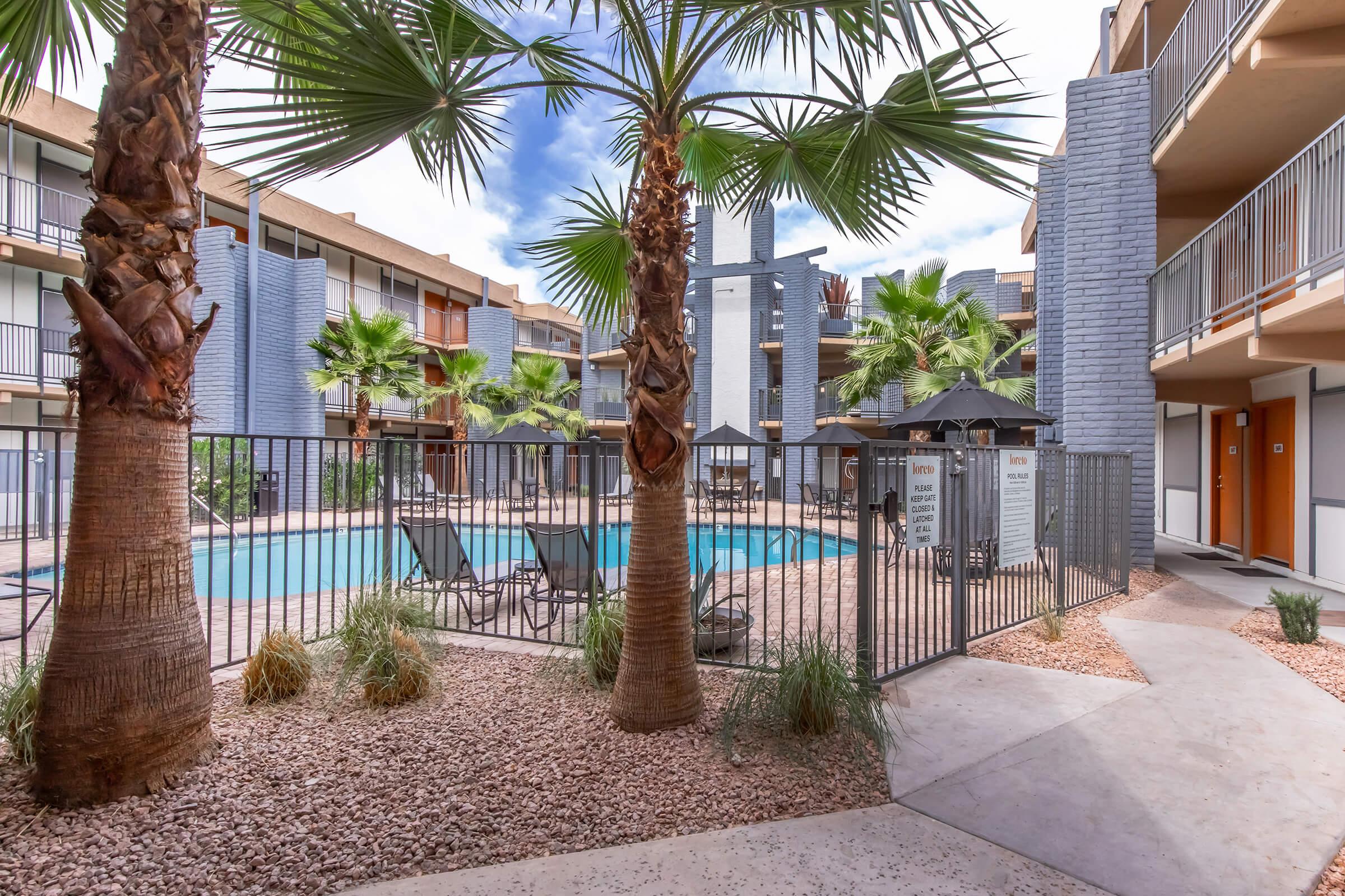 A swimming pool surrounded by palm trees and lounge chairs in a landscaped courtyard of an apartment complex. The area features decorative gravel, vibrant greenery, and a modern building design with multiple levels. Sunlight filters through the palms, creating a relaxed atmosphere.