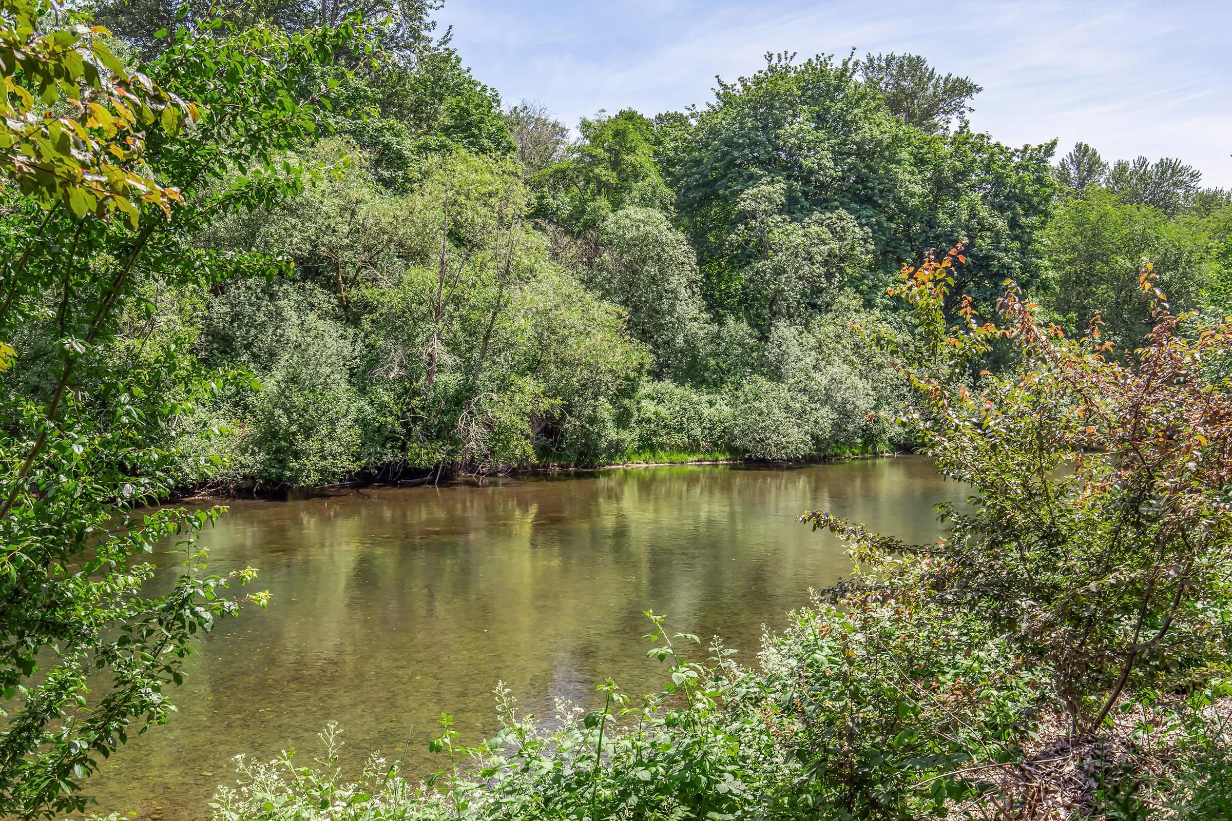 A serene river surrounded by lush green trees and plants. The water reflects the natural scenery, creating a peaceful and tranquil atmosphere. The sunlight filters through the foliage, highlighting the vibrant colors of the landscape.