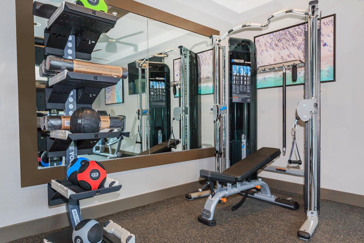 Weights in the community gym