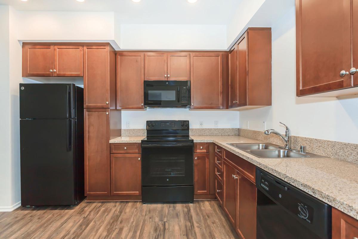 Kitchen with black appliances