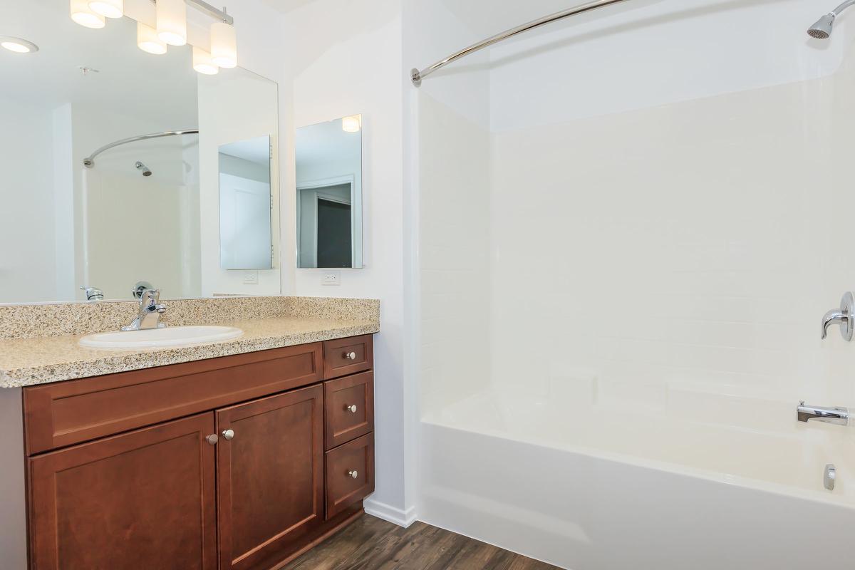 Bathroom with wooden cabinets