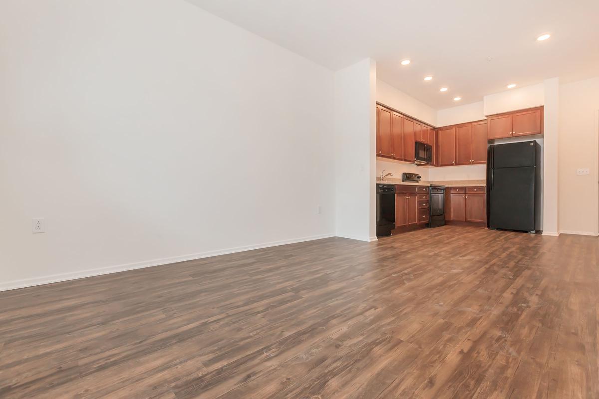 Living room and kitchen with wooden floors