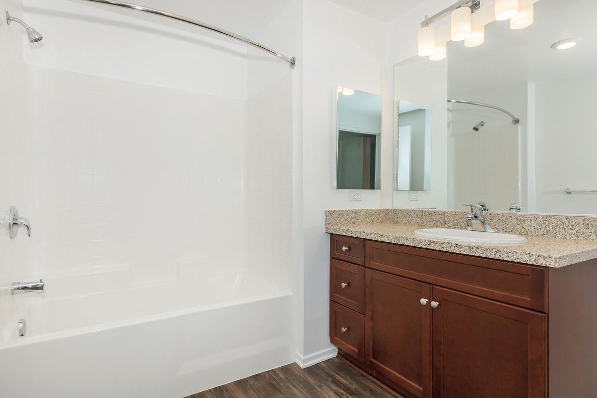 Bathroom with wooden floor