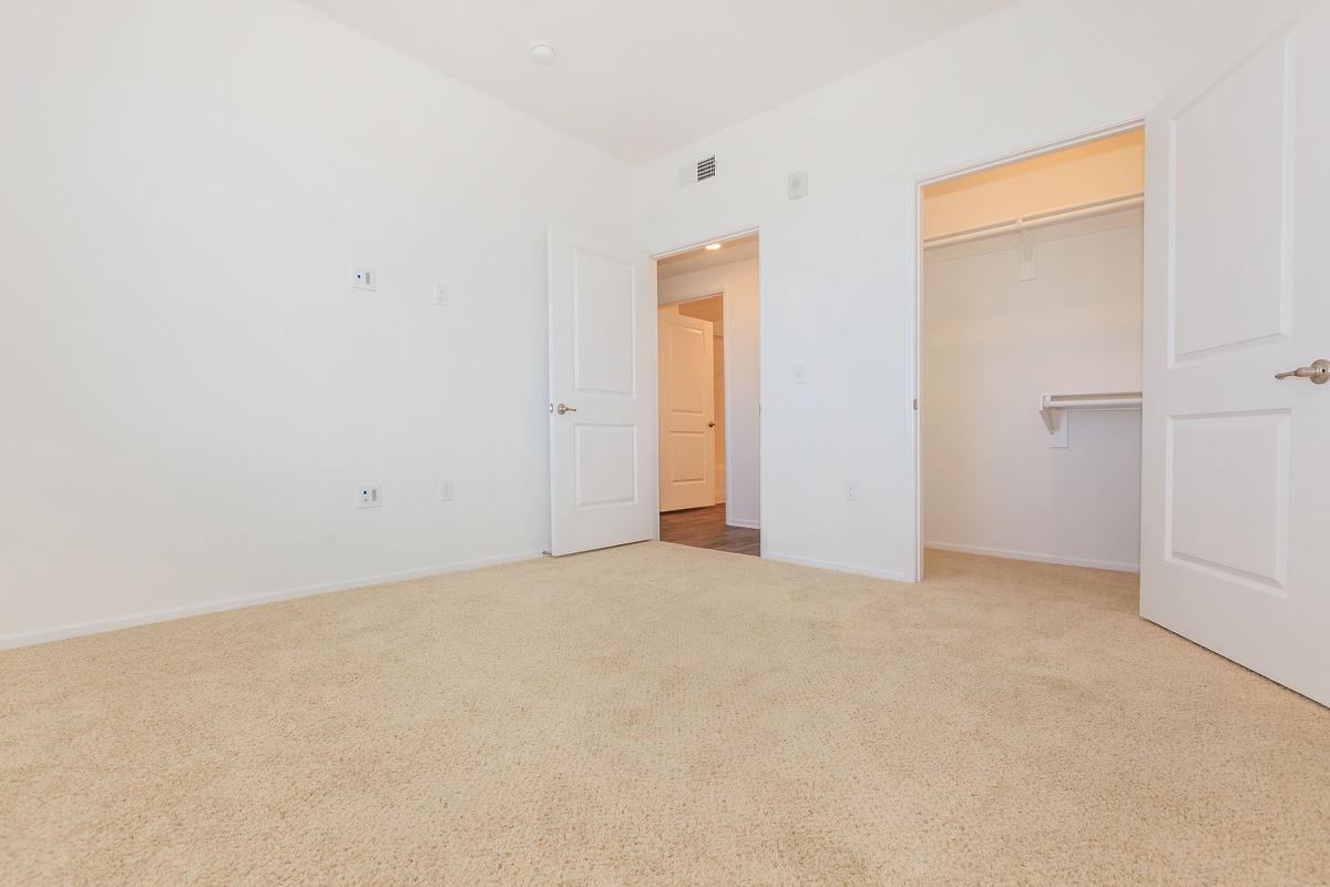 Carpeted bedroom with open bathroom and closet doors