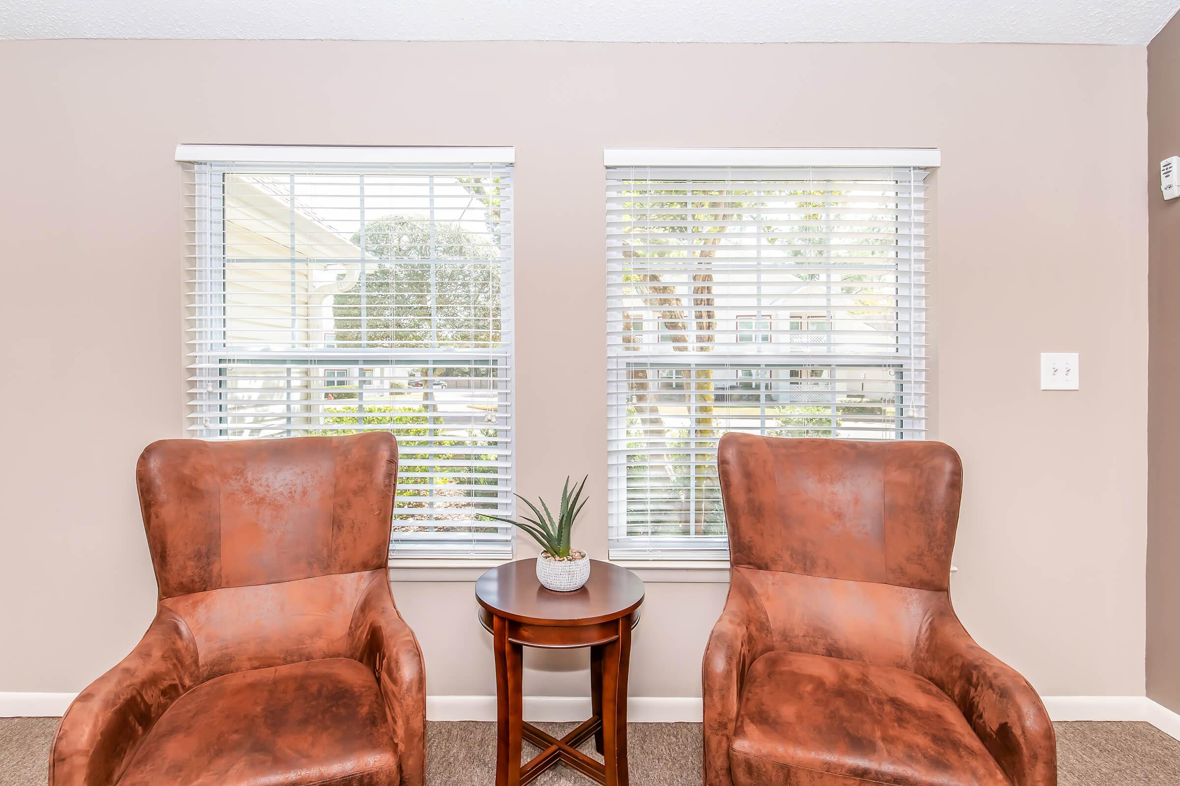 Two brown leather armchairs positioned facing each other, with a small round table in between. The table holds a small potted plant. Behind the chairs, there are two windows with white blinds, allowing natural light to enter the room, and a view of greenery outside. The walls are painted in a soft neutral color.