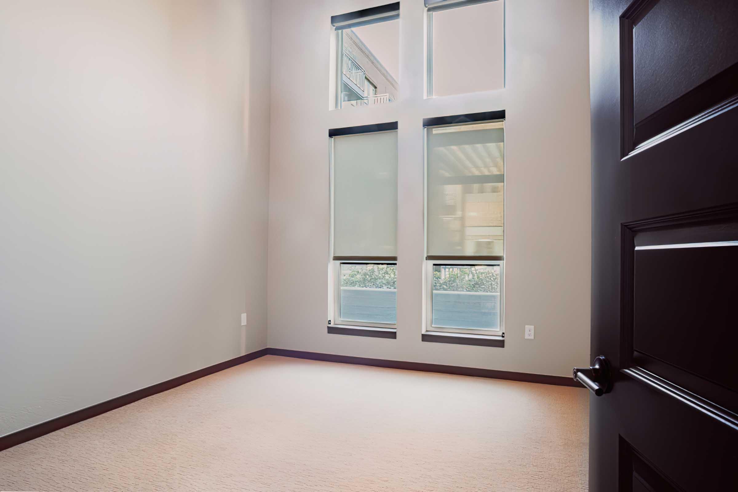 A sparsely furnished room with light beige carpet and light gray walls. Large windows allow natural light to enter, featuring roller shades. A black door is slightly ajar, providing a glimpse into the room's spaciousness, which has no furniture. The overall atmosphere is bright and minimalistic.