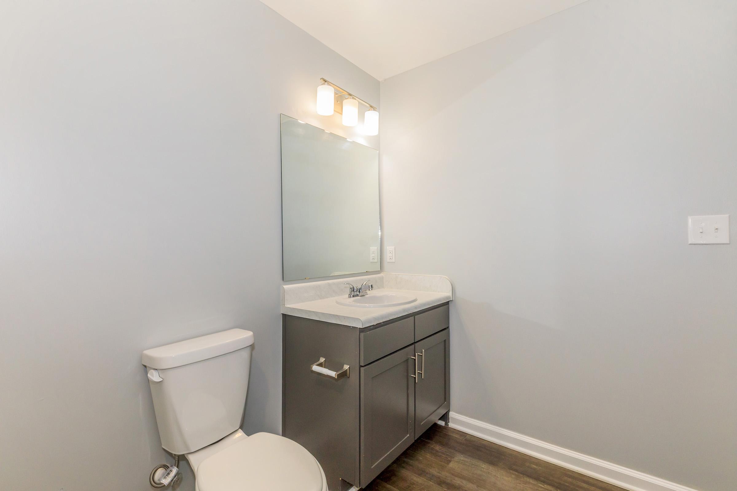 A modern bathroom featuring a light gray wall, a white toilet, a stylish bathroom vanity with a sink, and a large mirror. The space is illuminated by a three-bulb light fixture above the mirror, complemented by clean lines and a contemporary design.