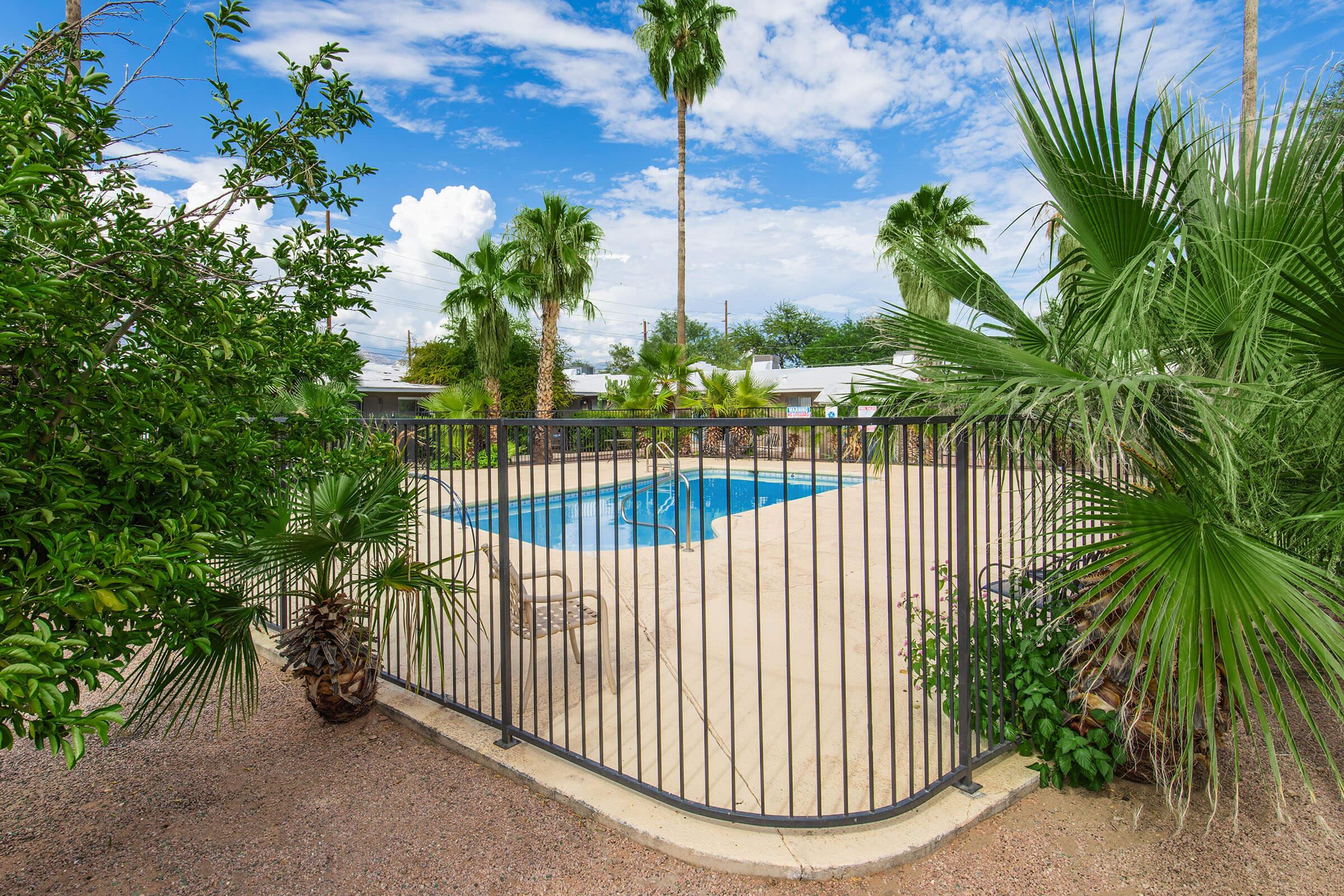 a garden in front of a palm tree