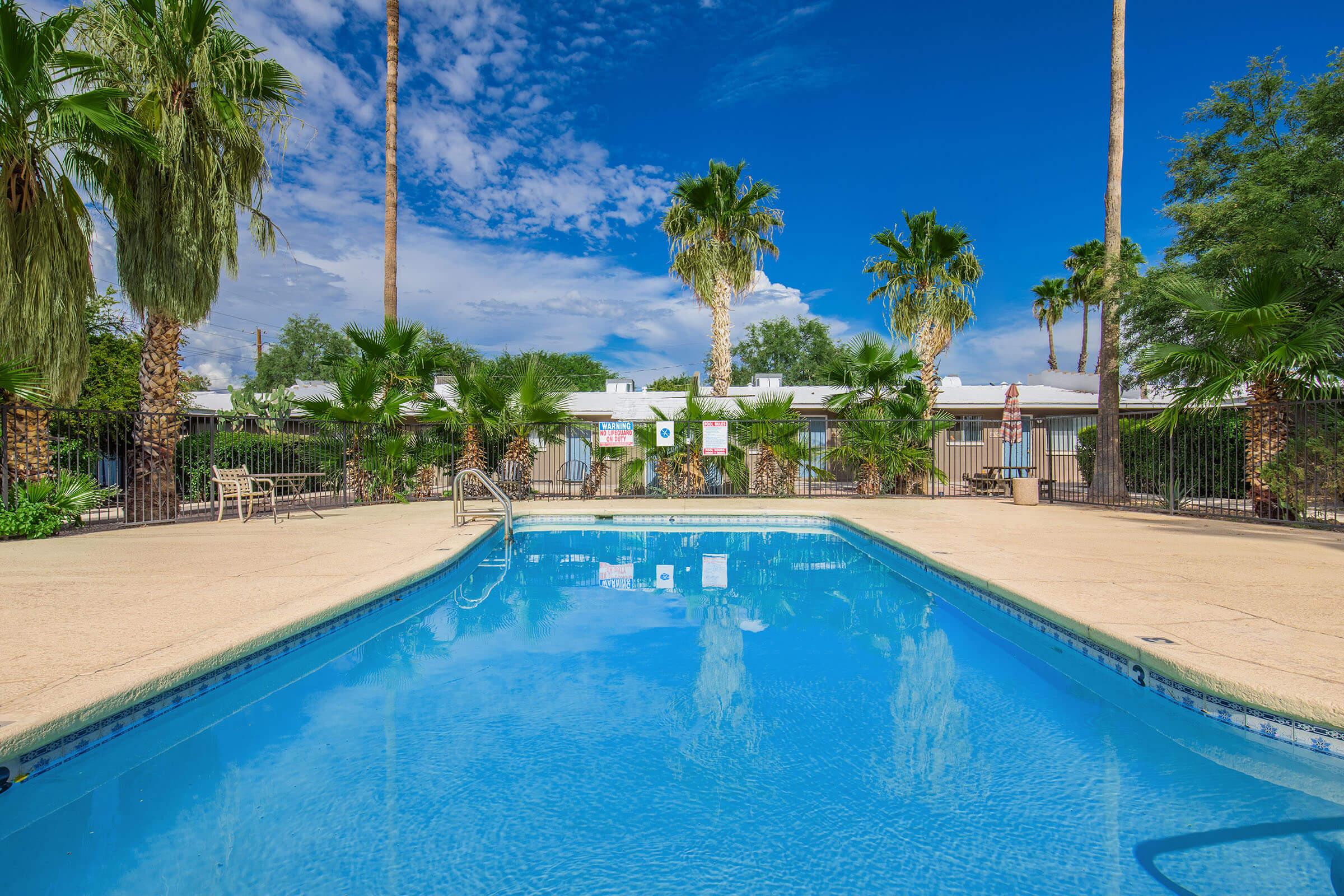 a row of palm trees next to a pool of water