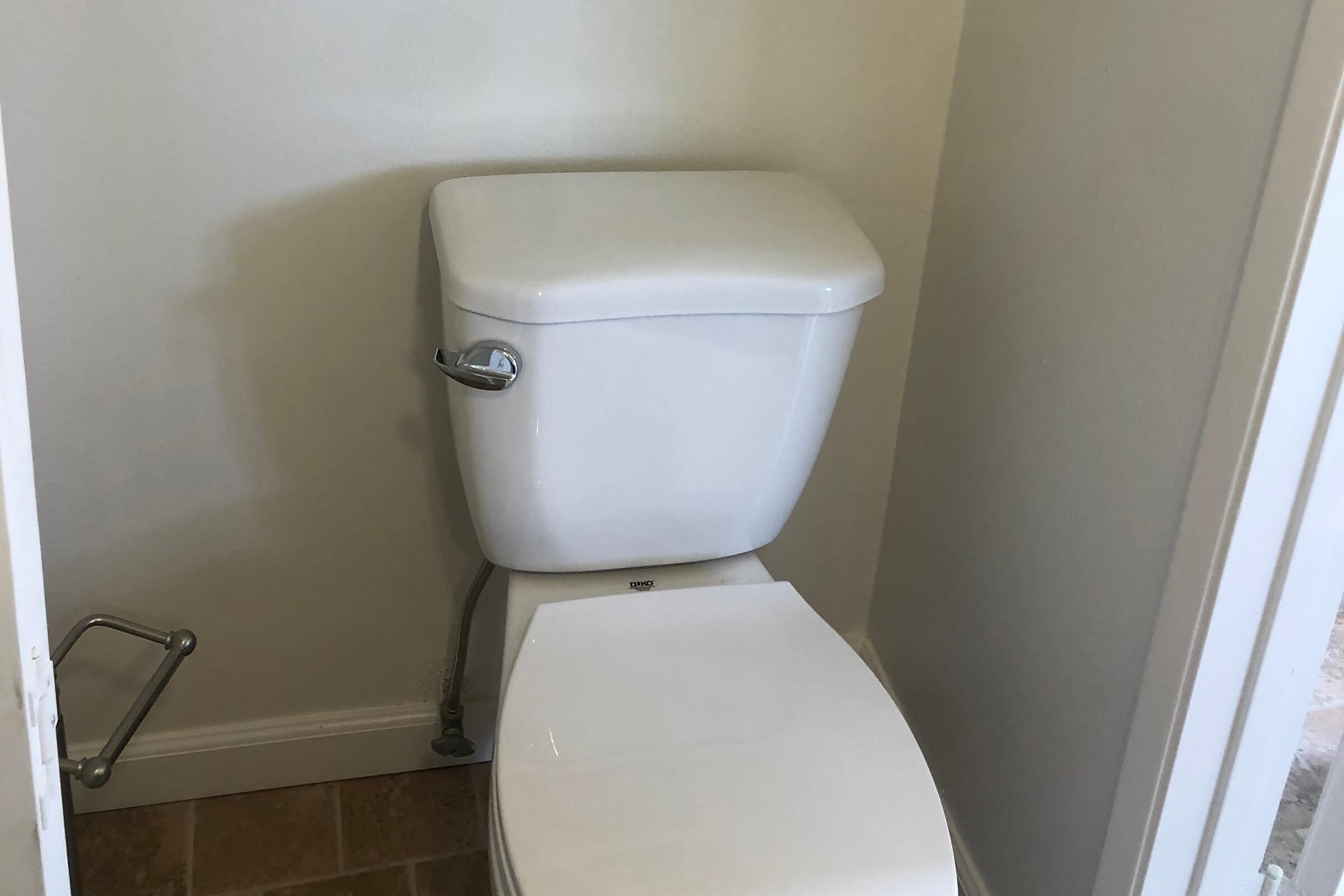 White toilet