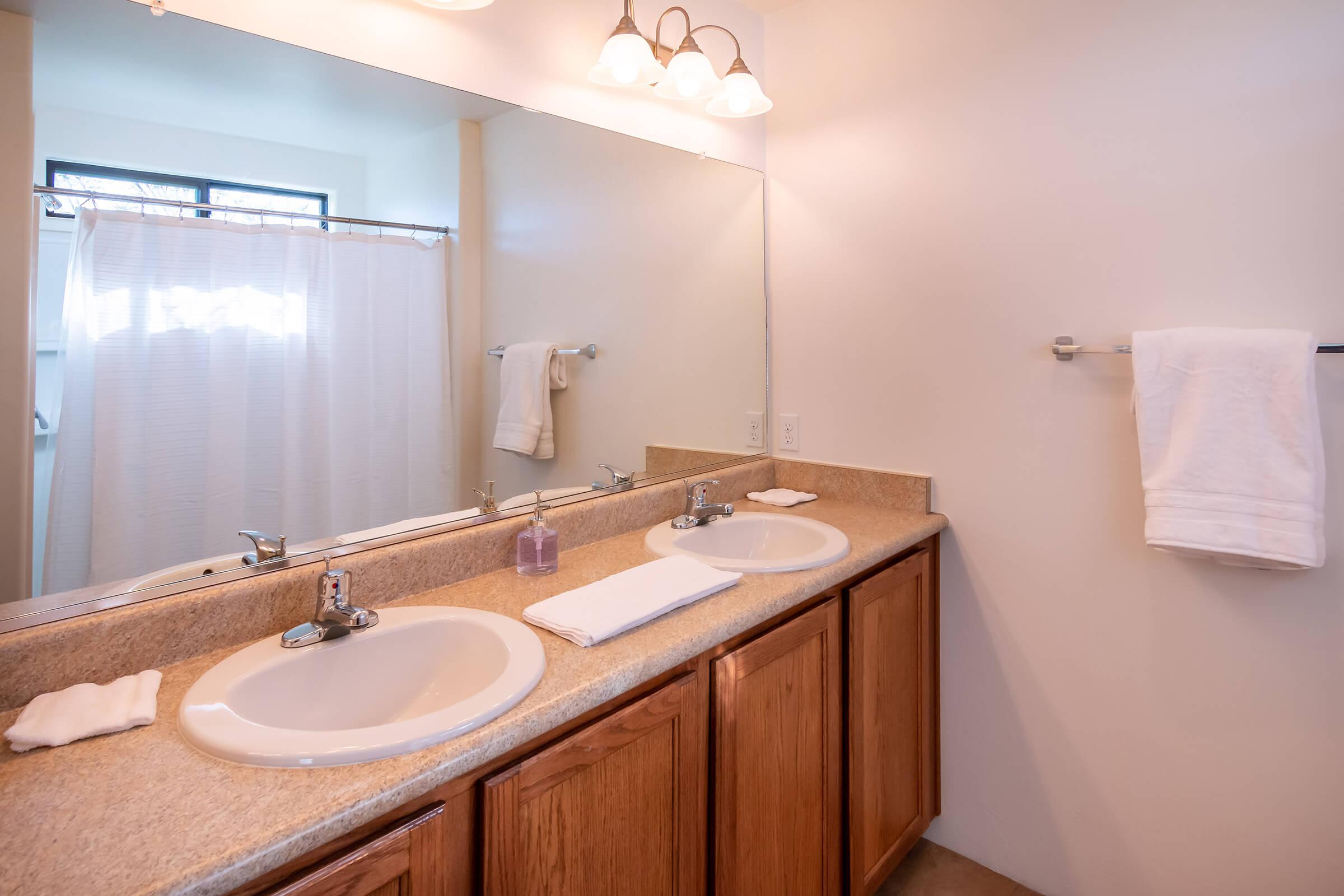 a double sink and large mirror