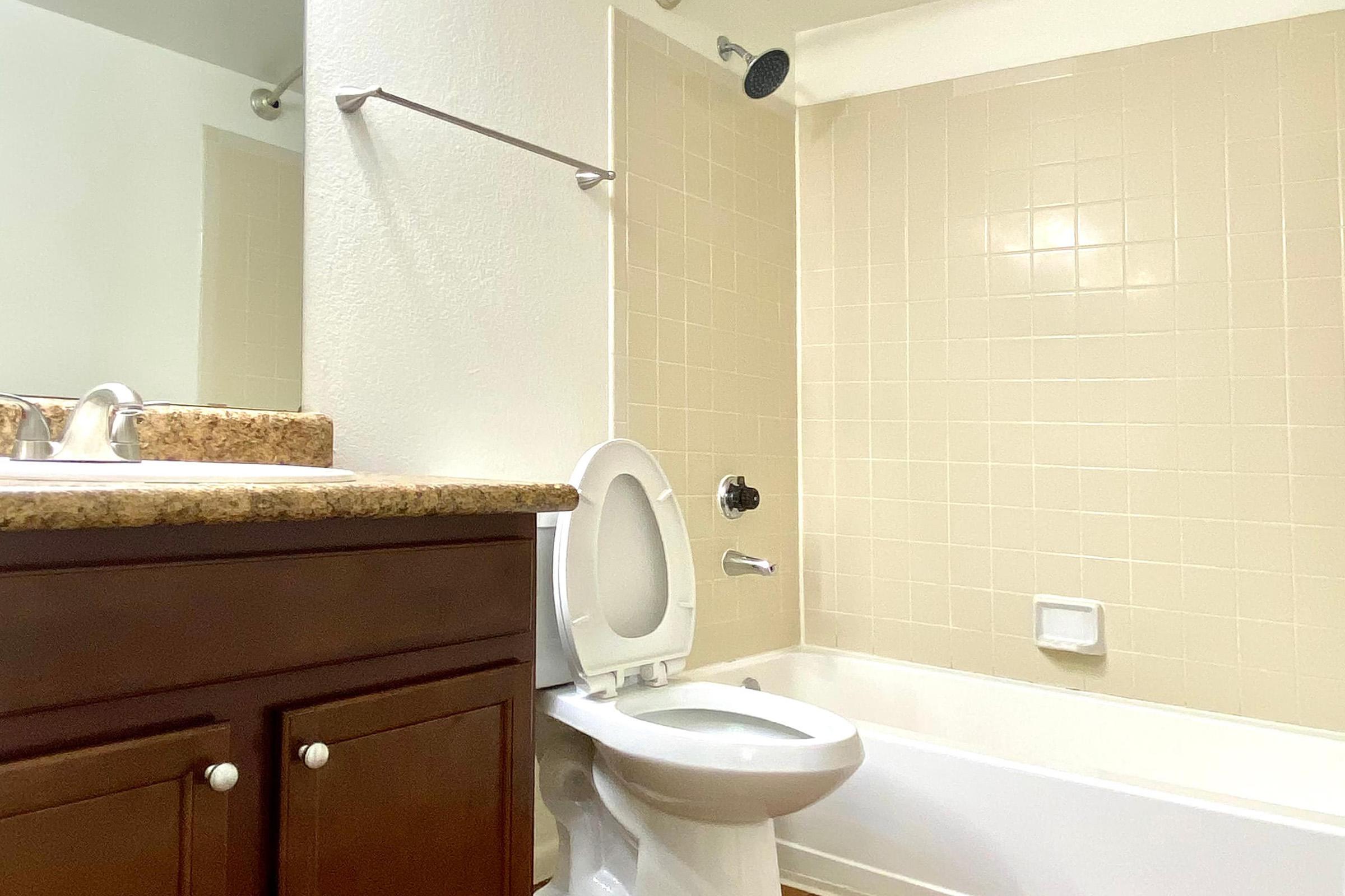 a sink and a mirror