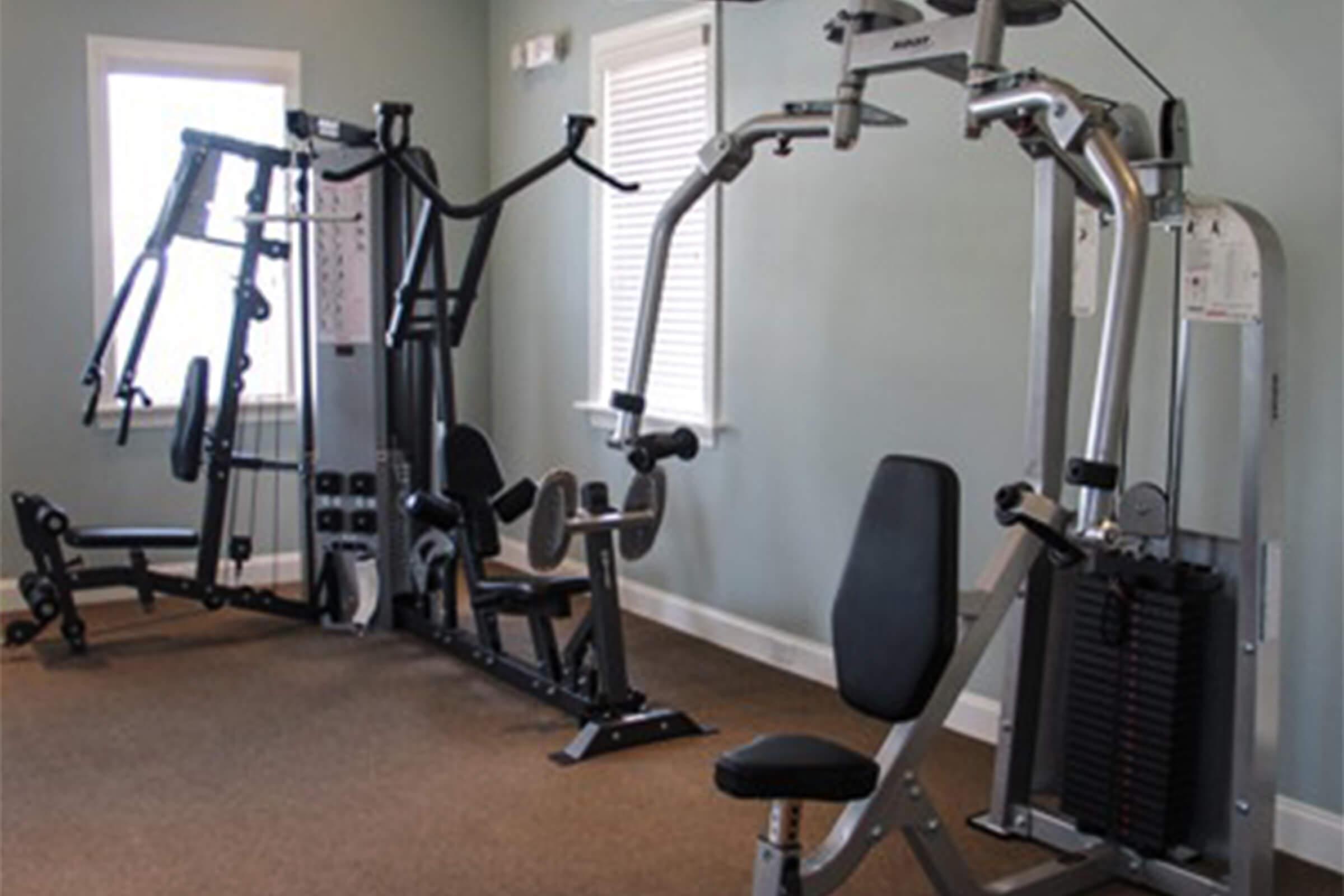 MG Fitness ss.jpg