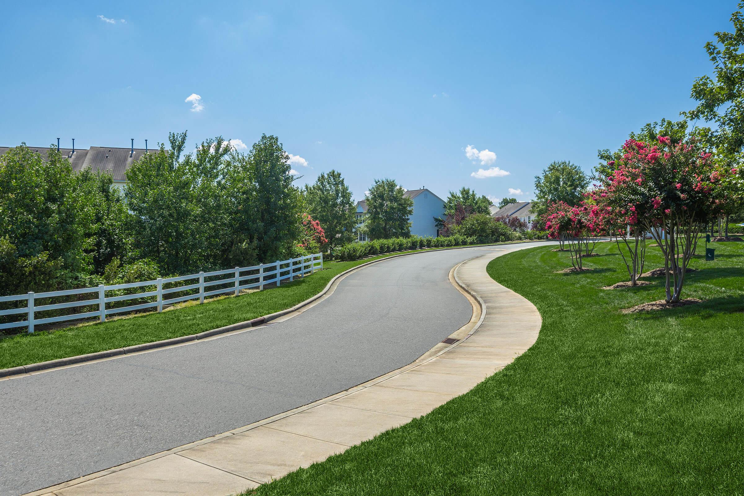 a path with trees on the side of a road