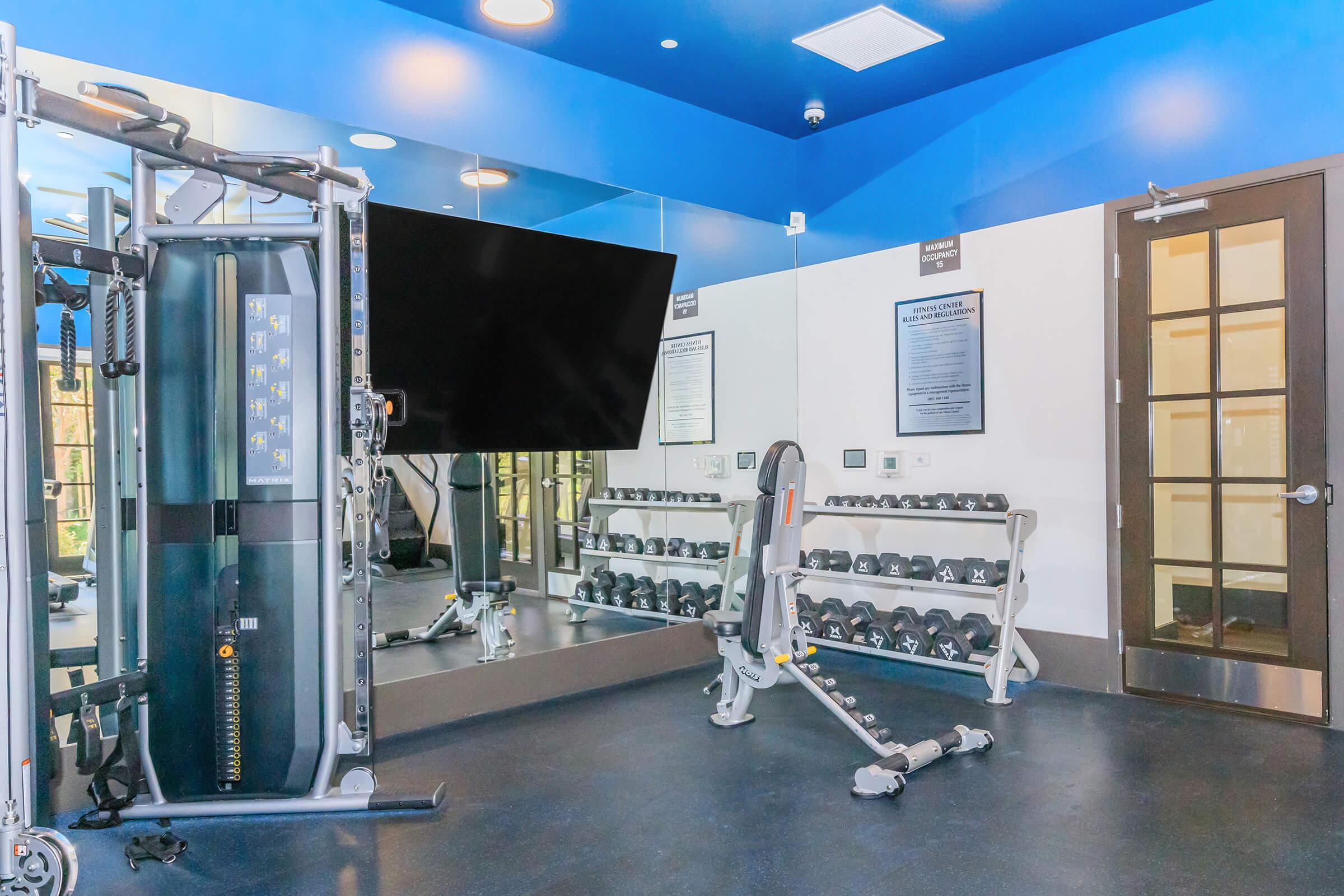 A well-equipped modern gym featuring weightlifting machines, a large flat-screen TV on the wall, and a set of dumbbells on a rack. The room has blue walls with ample lighting and mirrors, creating a bright and inviting workout space. The door has glass panels, adding to the open feel.