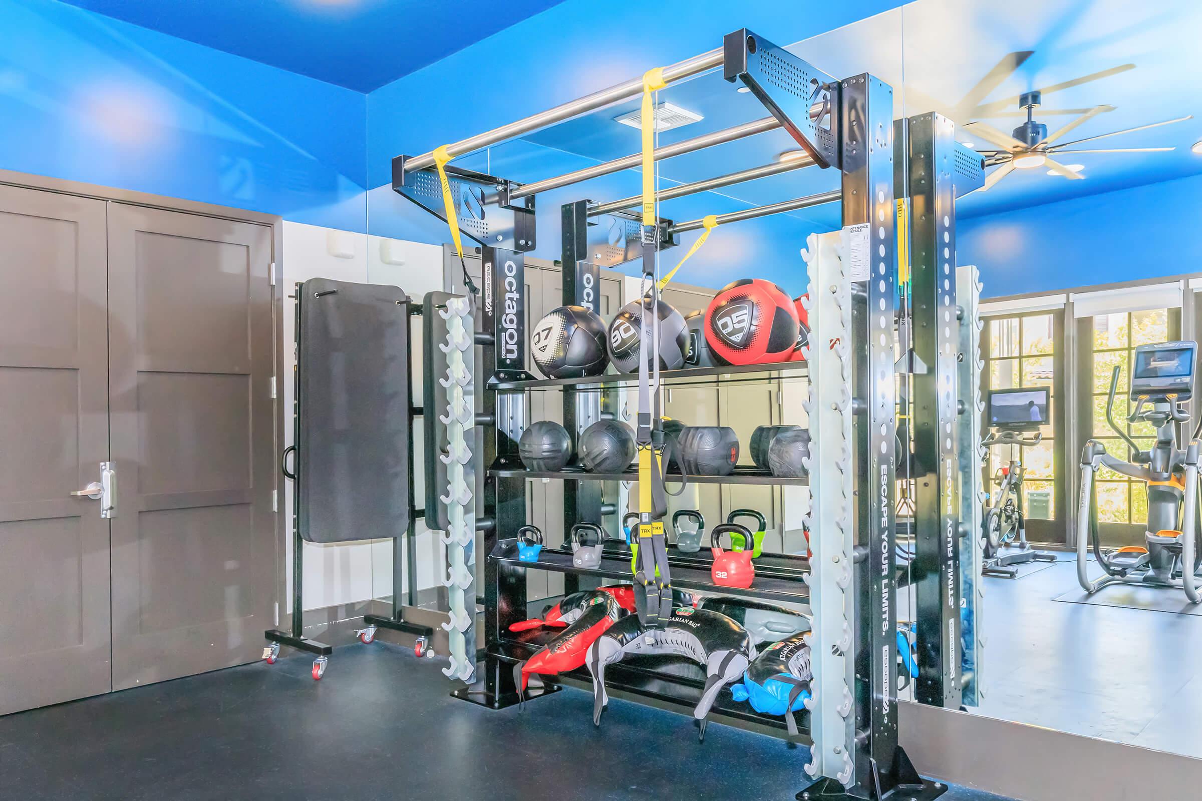 A well-equipped fitness room featuring a multi-functional training rack with various weights, including kettlebells, medicine balls, and resistance bands. The space has a modern design with blue walls, large windows, and exercise equipment visible in the background. Ideal for workouts and personal training sessions.