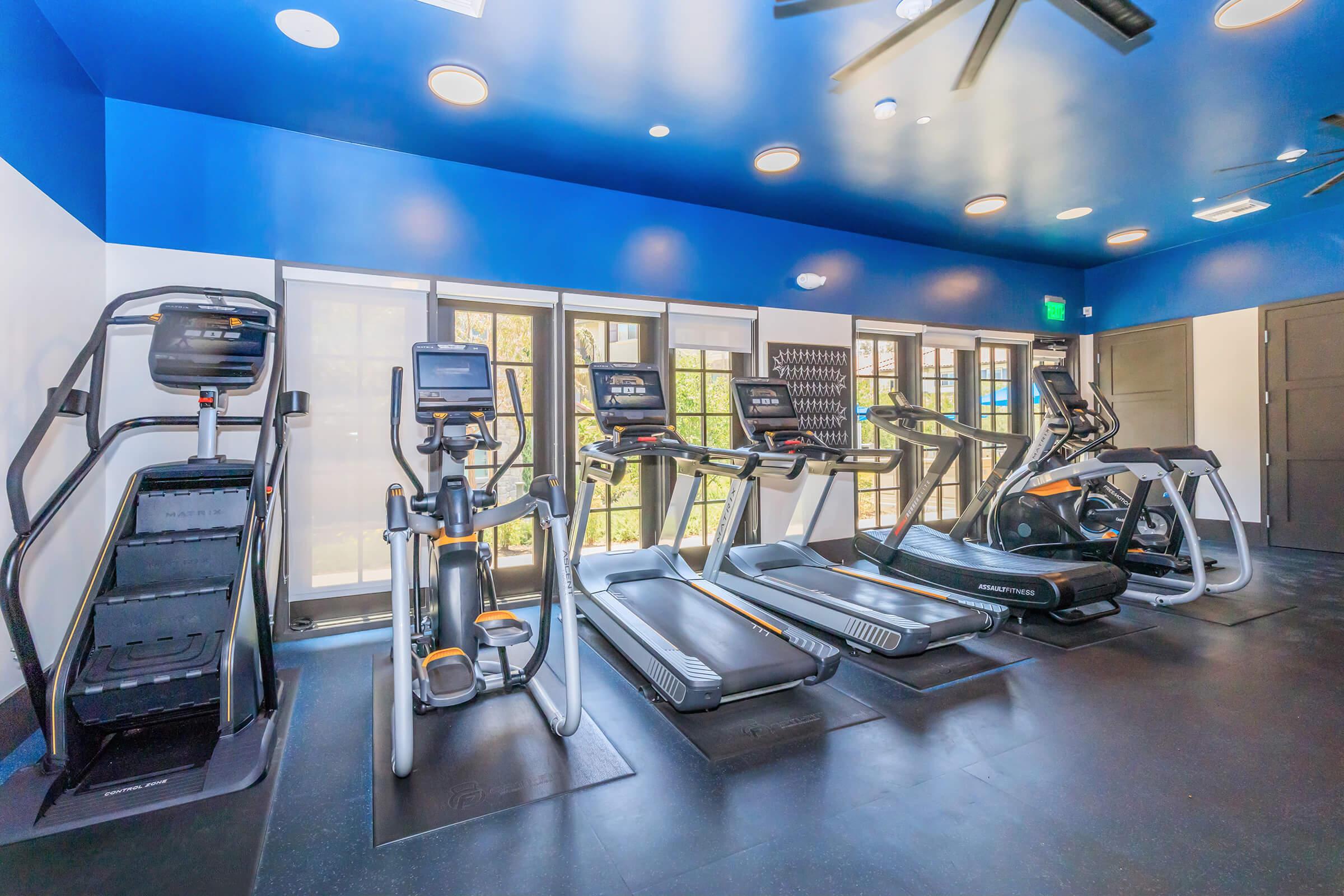 A modern gym interior featuring various cardio machines, including treadmills, ellipticals, and a stair climber. Large windows allow natural light to flood the space, highlighting the blue and white color scheme. The floor is black rubber, and there are fitness accessories on a rack in the background.
