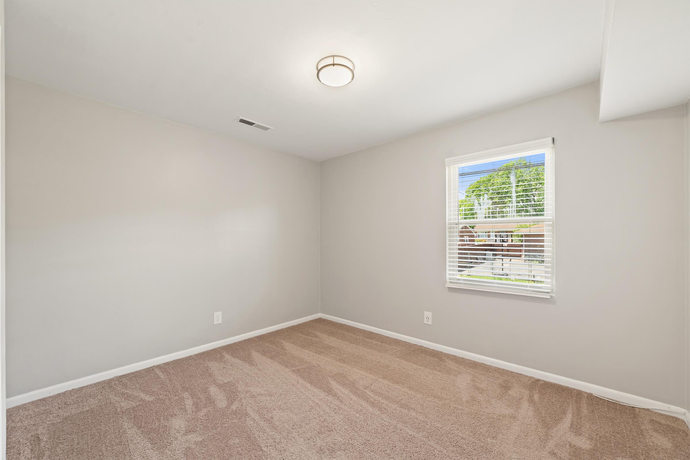 Empty room with light-colored walls and carpeted flooring, featuring a ceiling light fixture. A window with white blinds allows natural light to enter, revealing greenery outside. The room has minimal decor and no furniture, creating a spacious feel.