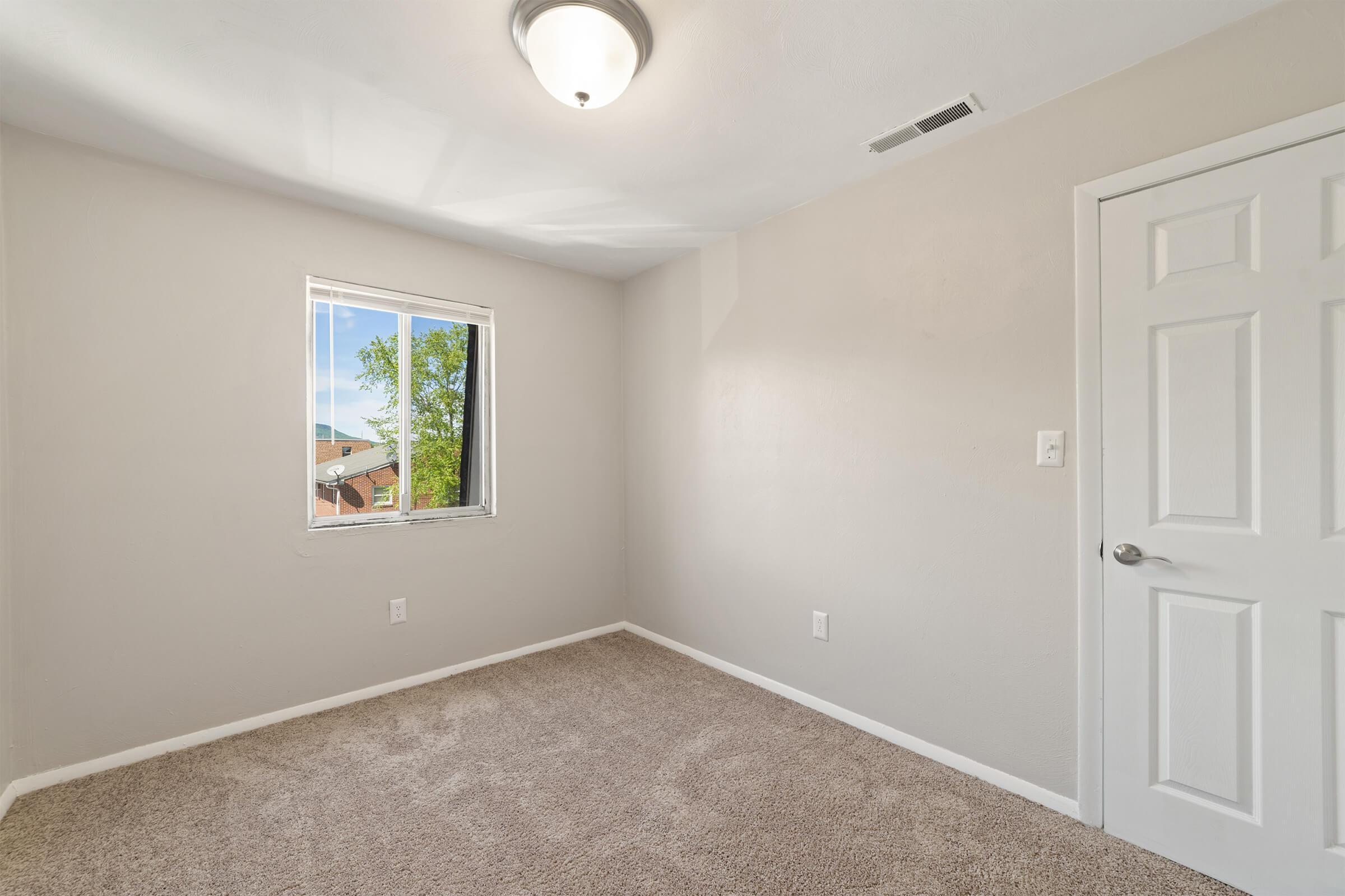 Empty room with beige walls and carpeted flooring. A single window lets in natural light, showing a view of trees outside. There is a ceiling light fixture and a closed white door on the right side.