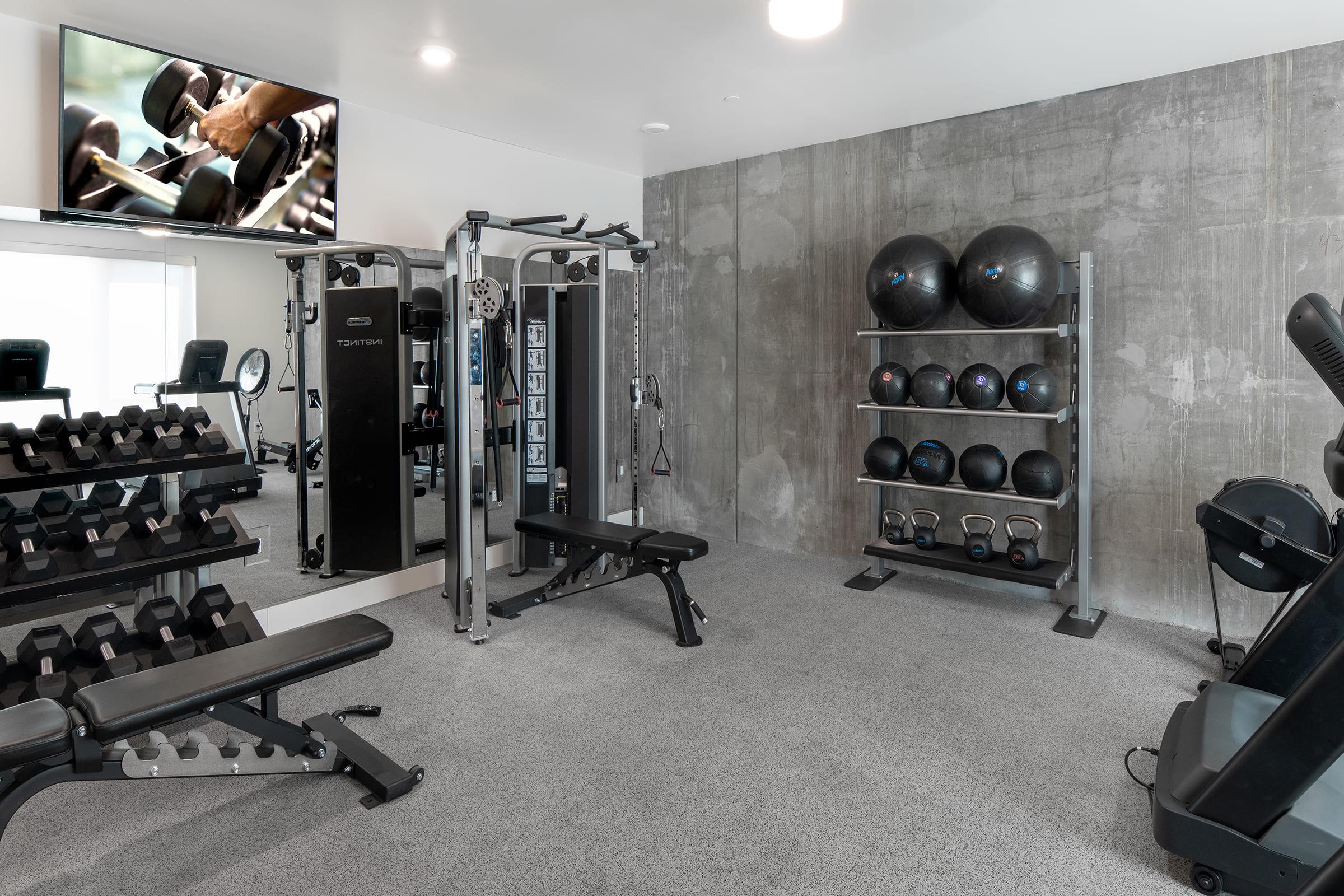 A modern gym interior featuring a cable weight machine, free weights on a rack, exercise balls stacked on a shelf, and a treadmill. A large flat-screen TV displays a workout video, and the walls are finished in a sleek concrete design. The floor is covered with carpet for comfort.