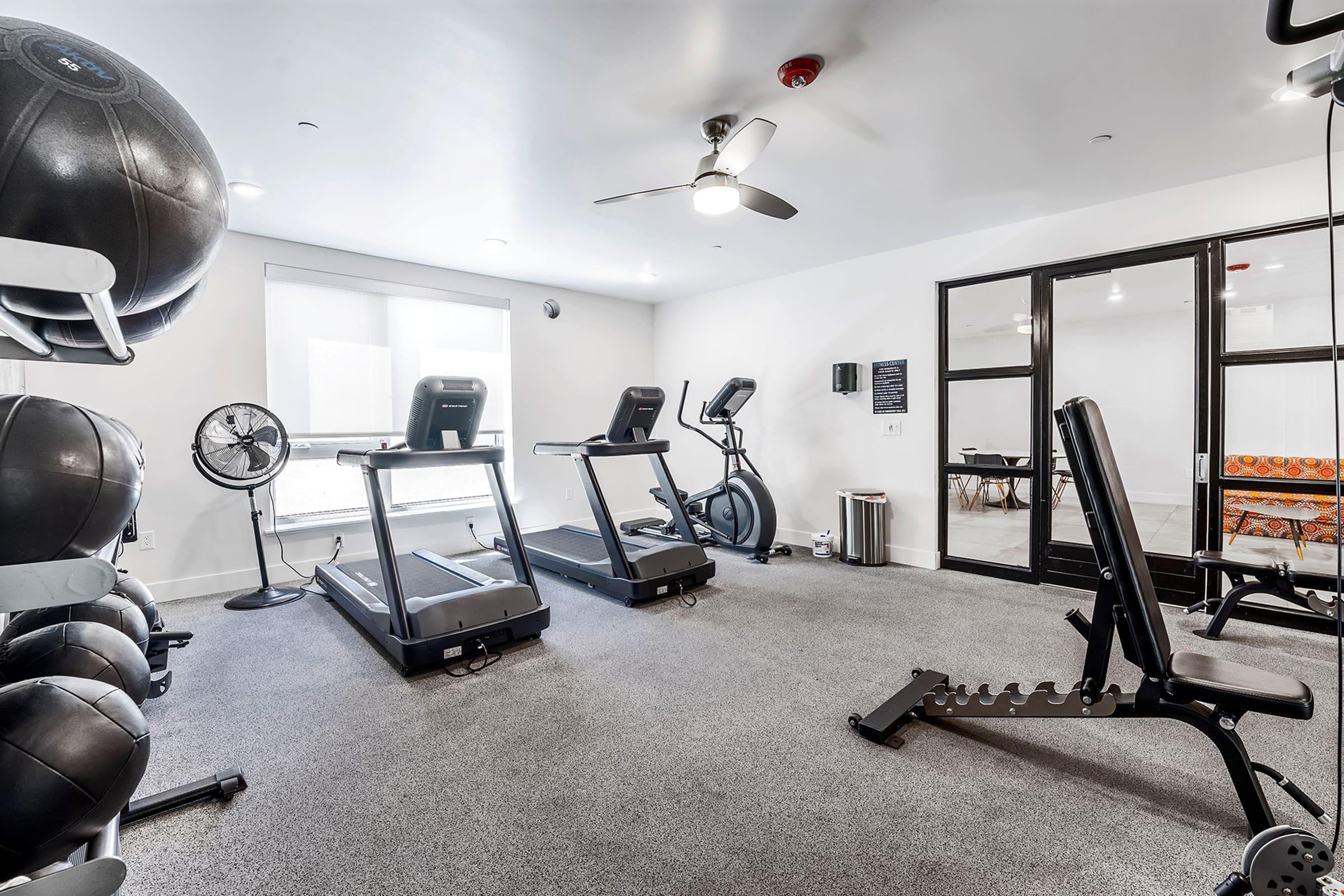 A modern fitness room featuring two treadmills, an elliptical machine, and a multi-use weight bench. The space is well-lit with large windows, a ceiling fan, and a fan for ventilation. Exercise equipment like medicine balls is neatly arranged along one wall. There's a glass divider leading to another area.