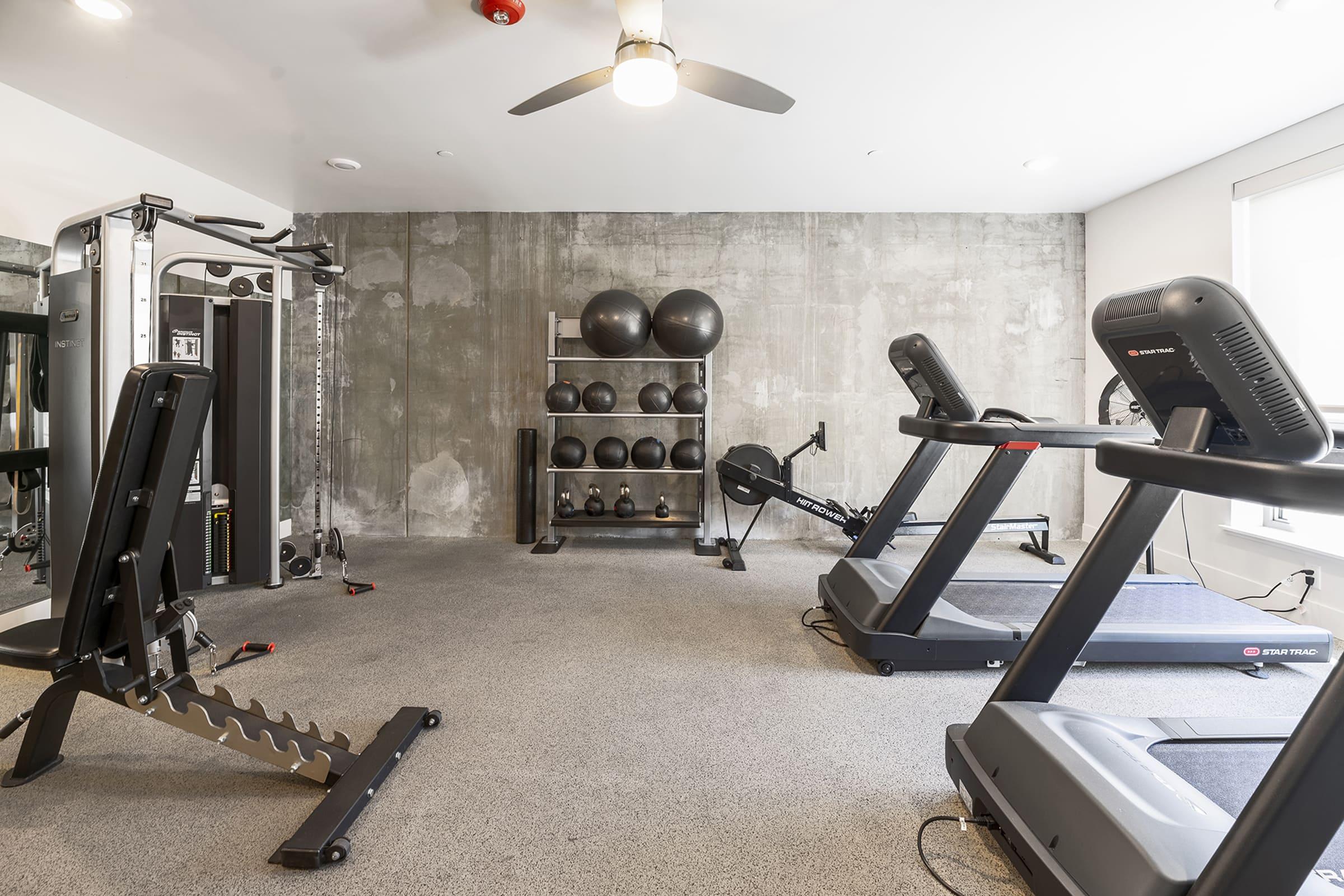 A modern gym interior featuring multiple fitness machines, including treadmills, a cable machine, and a rack of exercise balls. The walls are concrete, and the flooring is carpeted, creating a sleek and spacious workout environment. Bright natural light comes in through large windows.