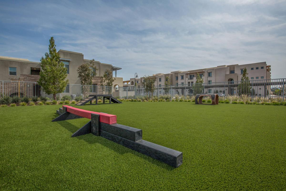Luxaira pet park with green grass