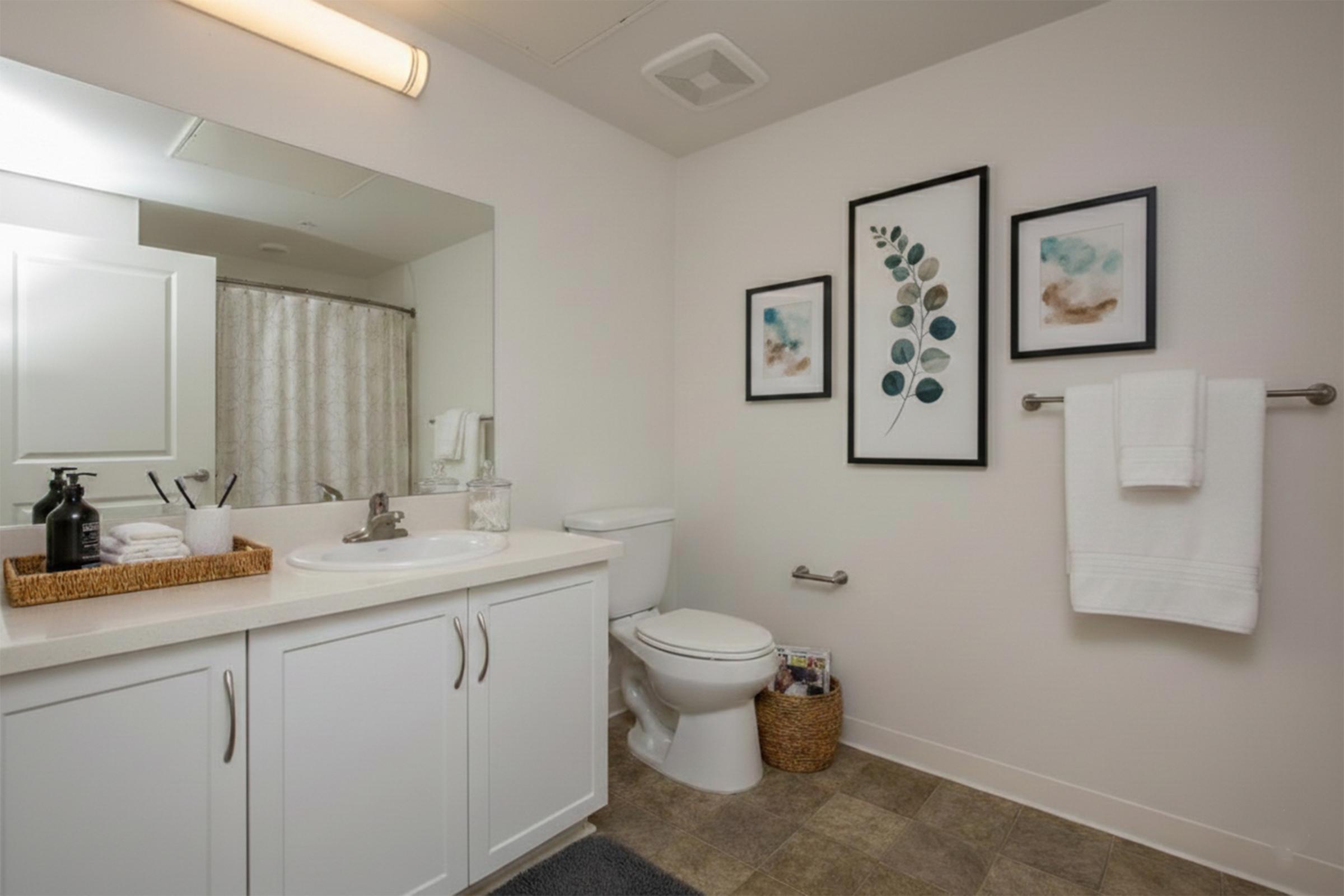 Luxaira Bathroom stage.jpg