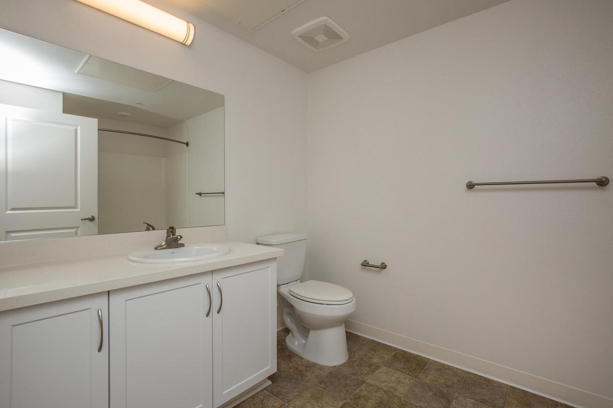 Bathroom with laminate floors