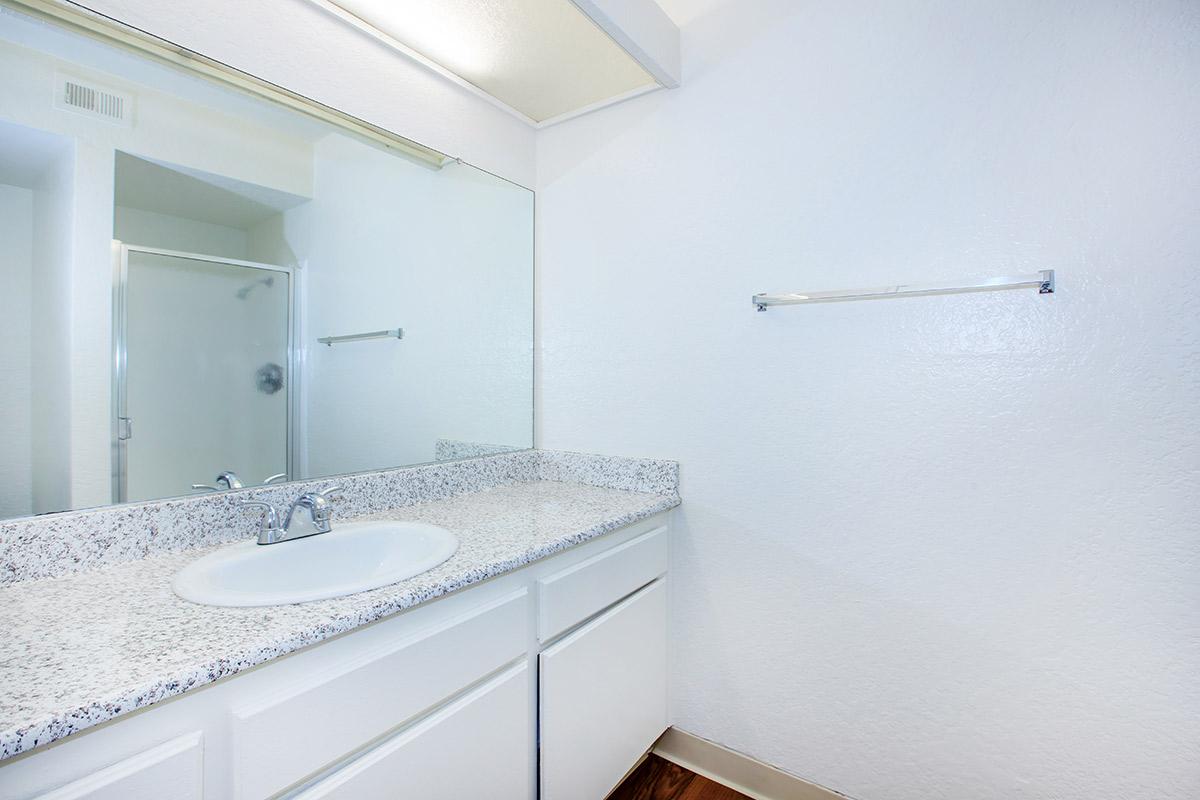 Bathroom sink with glass shower door
