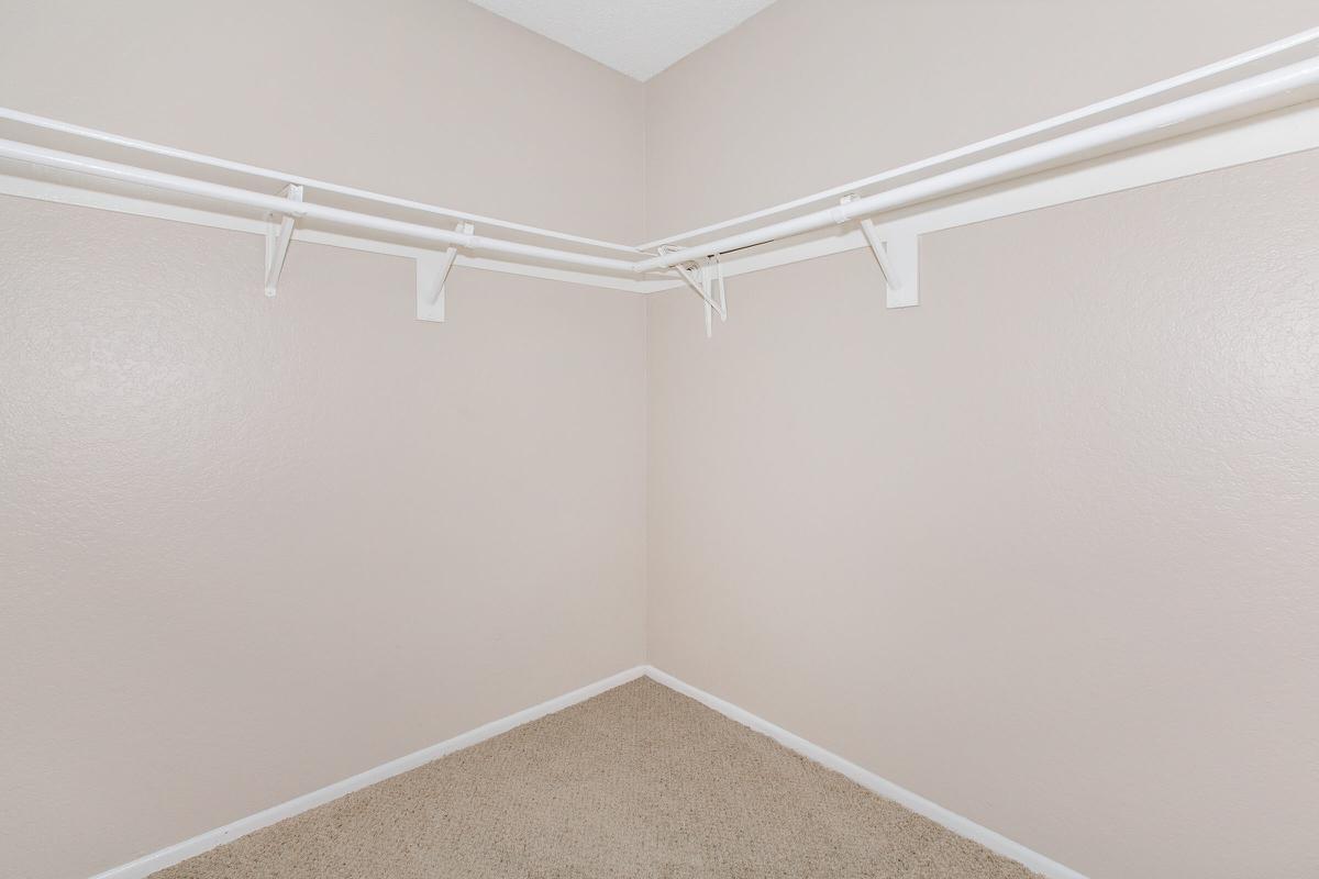 Vacant walk-in closet with carpet