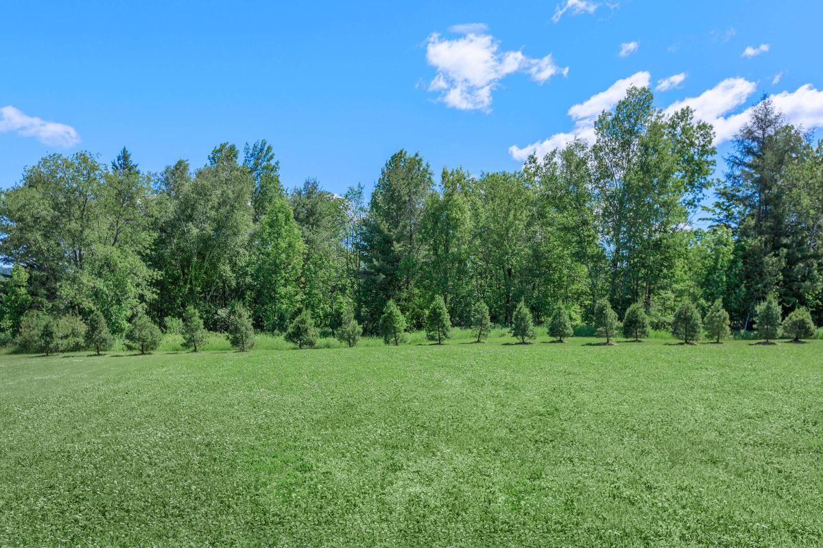 a large green field with trees in the background