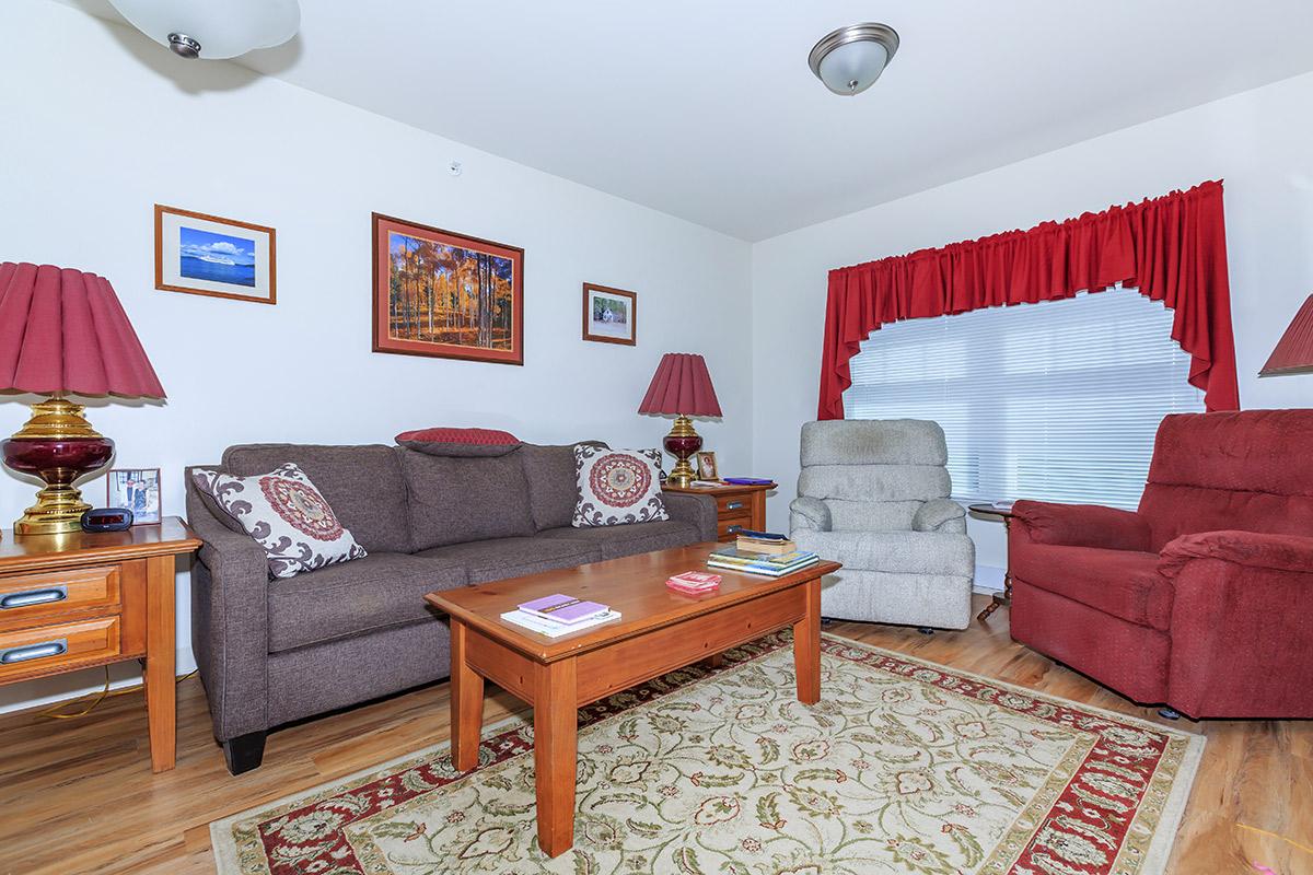 a living room filled with furniture and a red rug