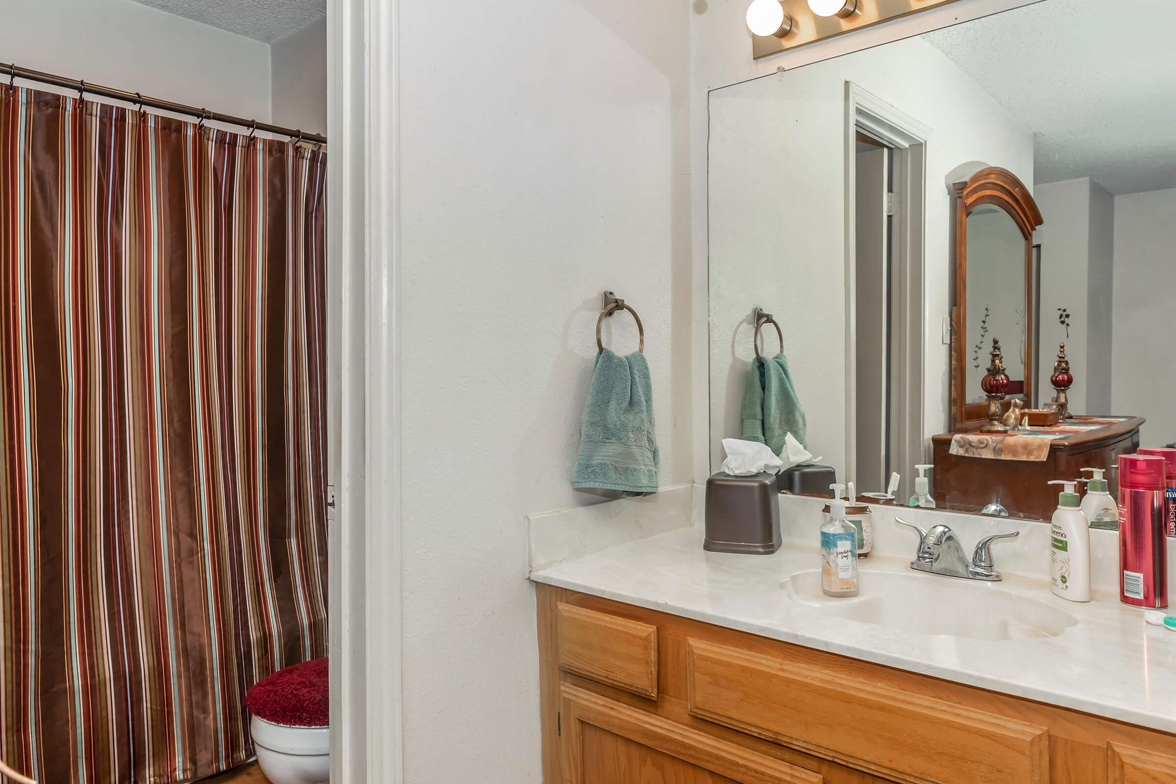 a room with a sink mirror and shower curtain