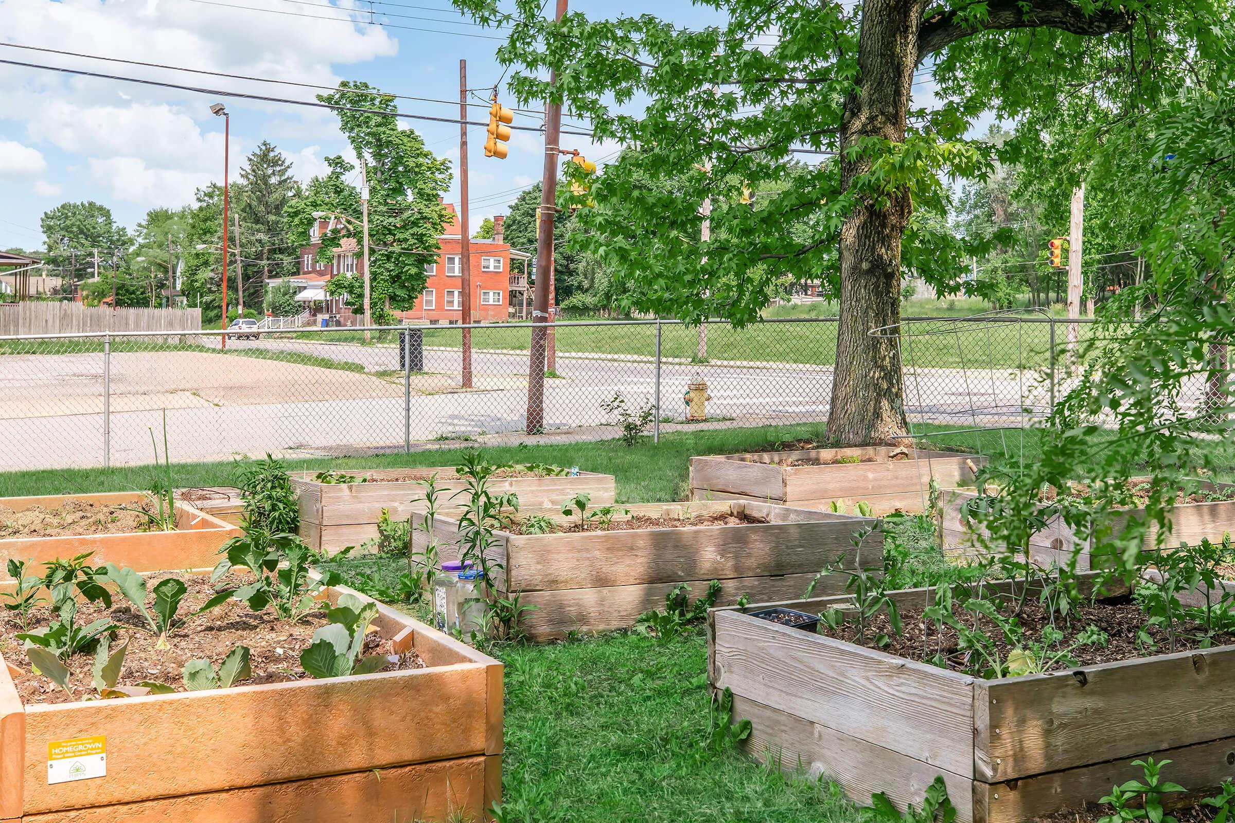 A community garden featuring several raised vegetable beds filled with various plants. Green grass surrounds the beds, and a large tree provides shade. In the background, a residential area is visible, along with a chain-link fence and a few utility poles under a partly cloudy sky.