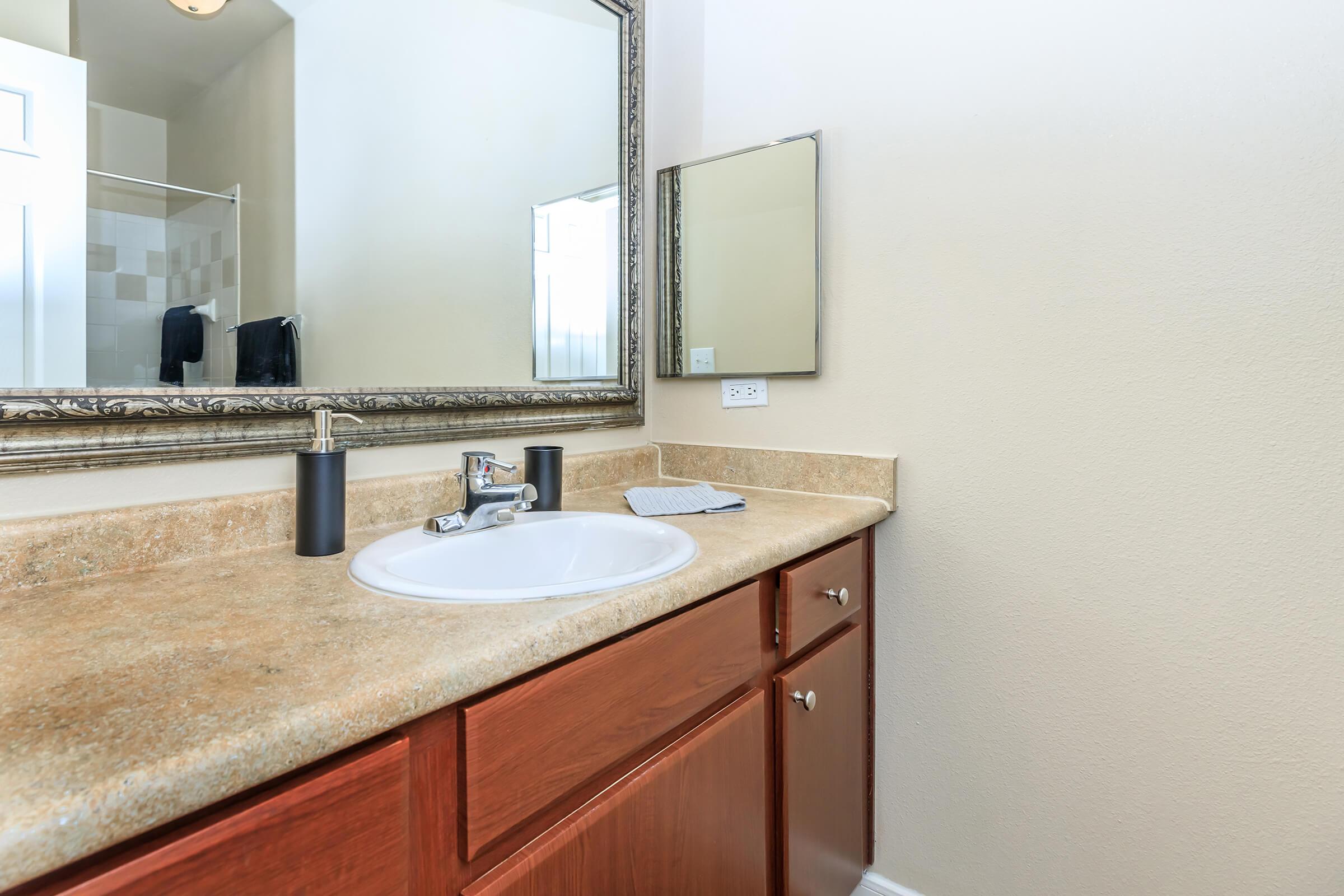 a double sink and large mirror