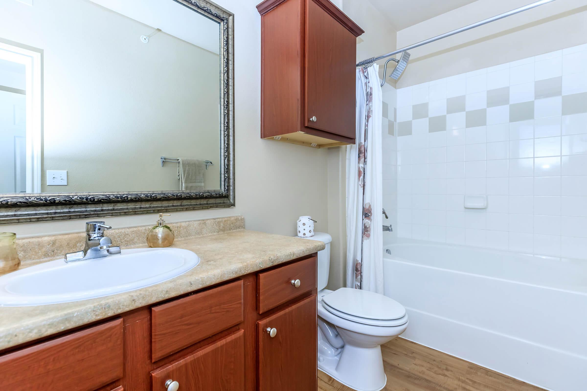 a sink and a mirror