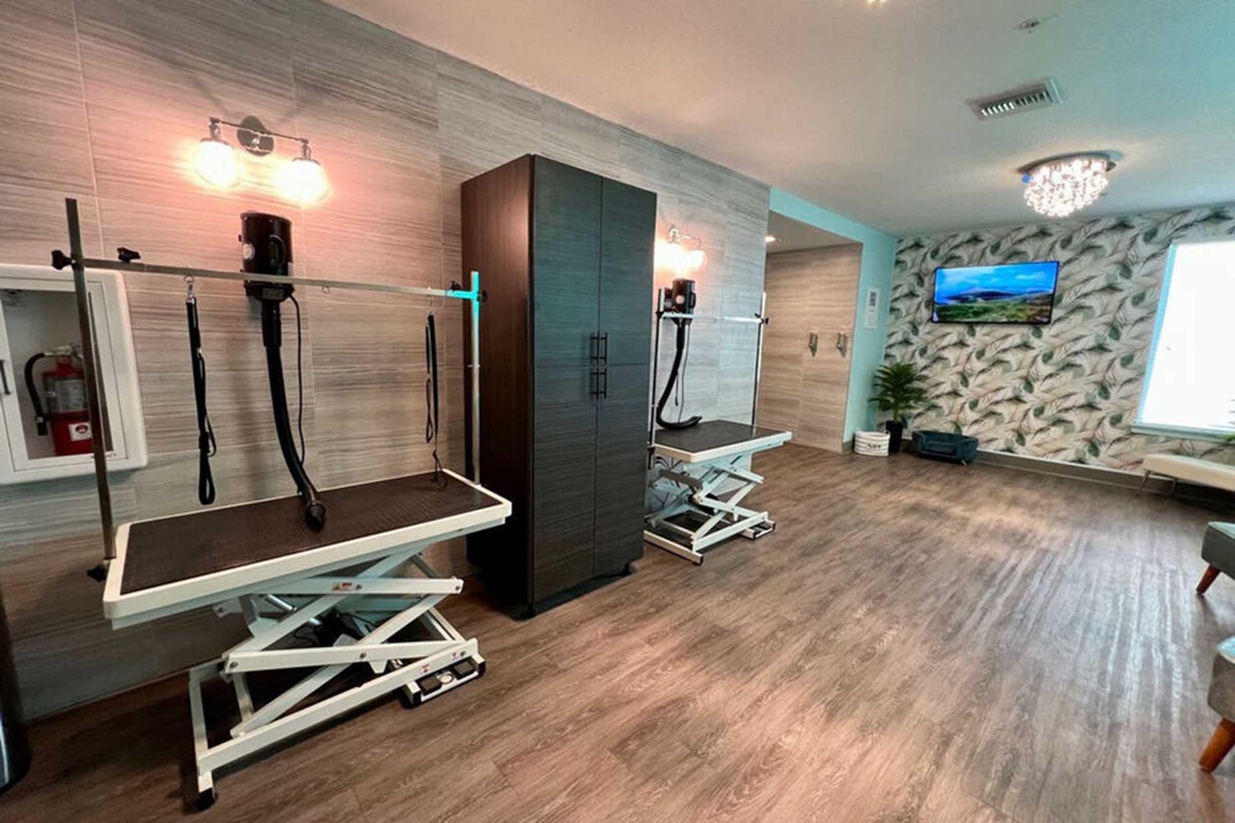 A modern grooming salon interior with two adjustable grooming tables, a cabinet, and stylish lighting. The space features wooden flooring, wall-mounted screens, and decorative plants, creating a bright and inviting atmosphere.