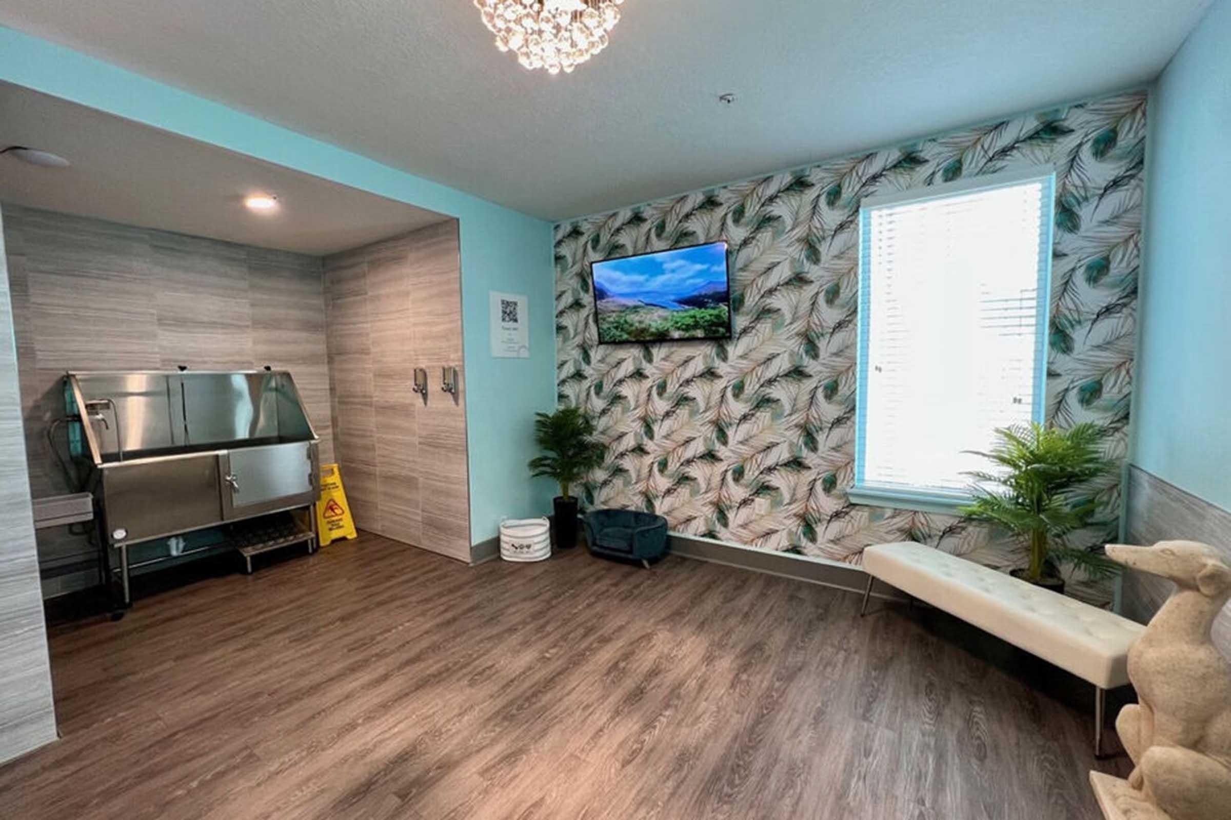 A modern, light-filled room featuring pale blue walls and a decorative plant-patterned accent wall. It includes a stainless steel sink area, a television mounted on the wall showing a scenic view, a comfortable bench, decorative plants, and a caution wet floor sign. The flooring is wood-like laminate.