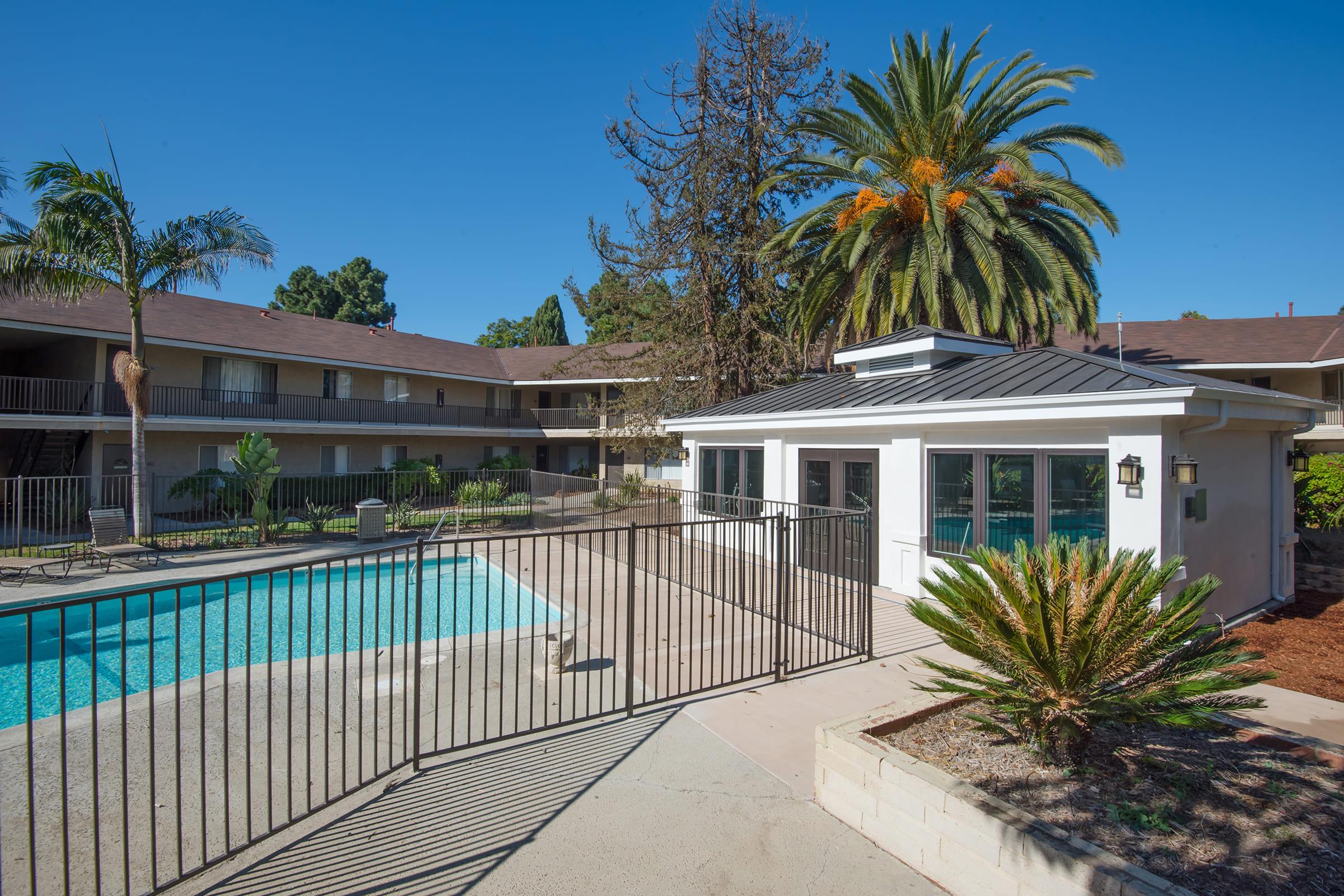 a pool next to a palm tree in front of a building