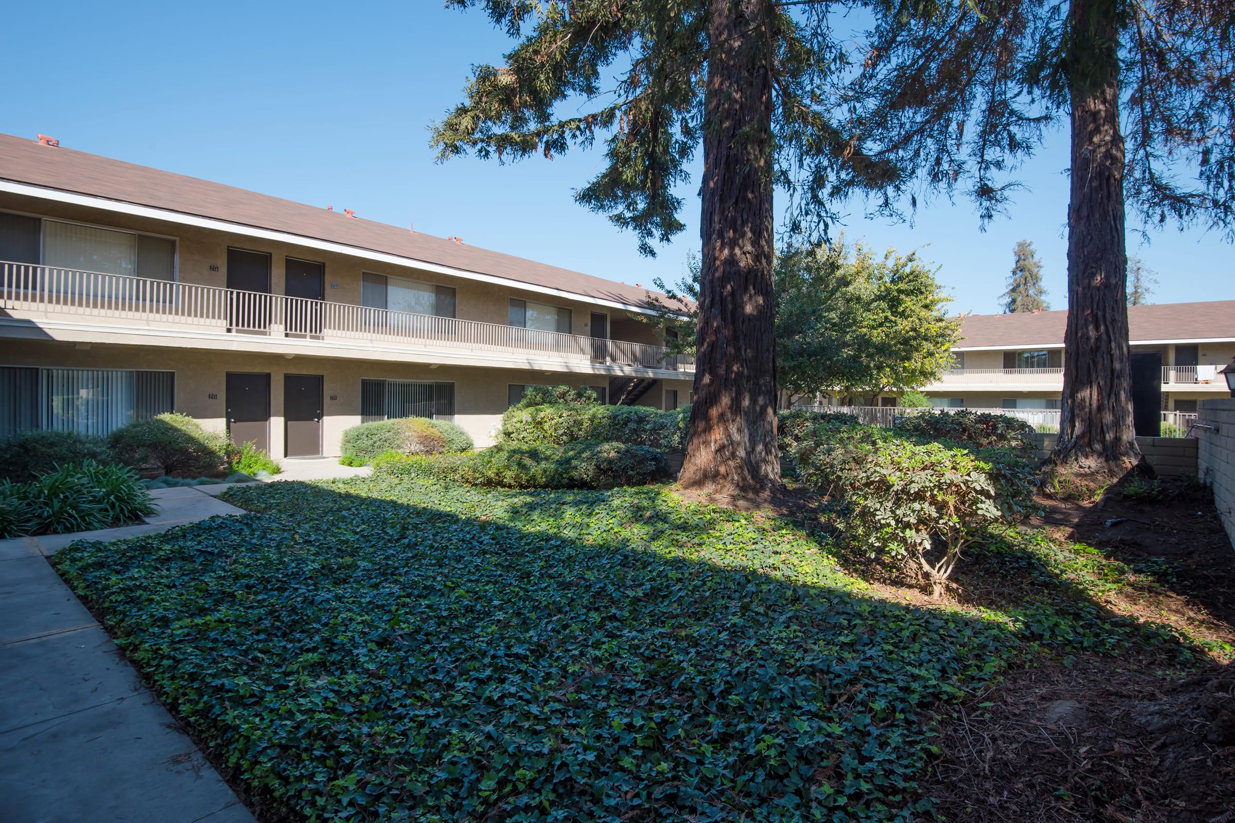 large trees in front of a building